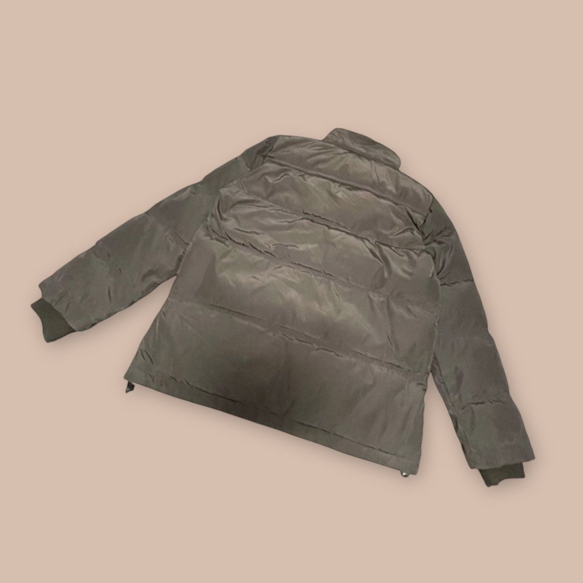 Uniqlo Premium Down Jacket