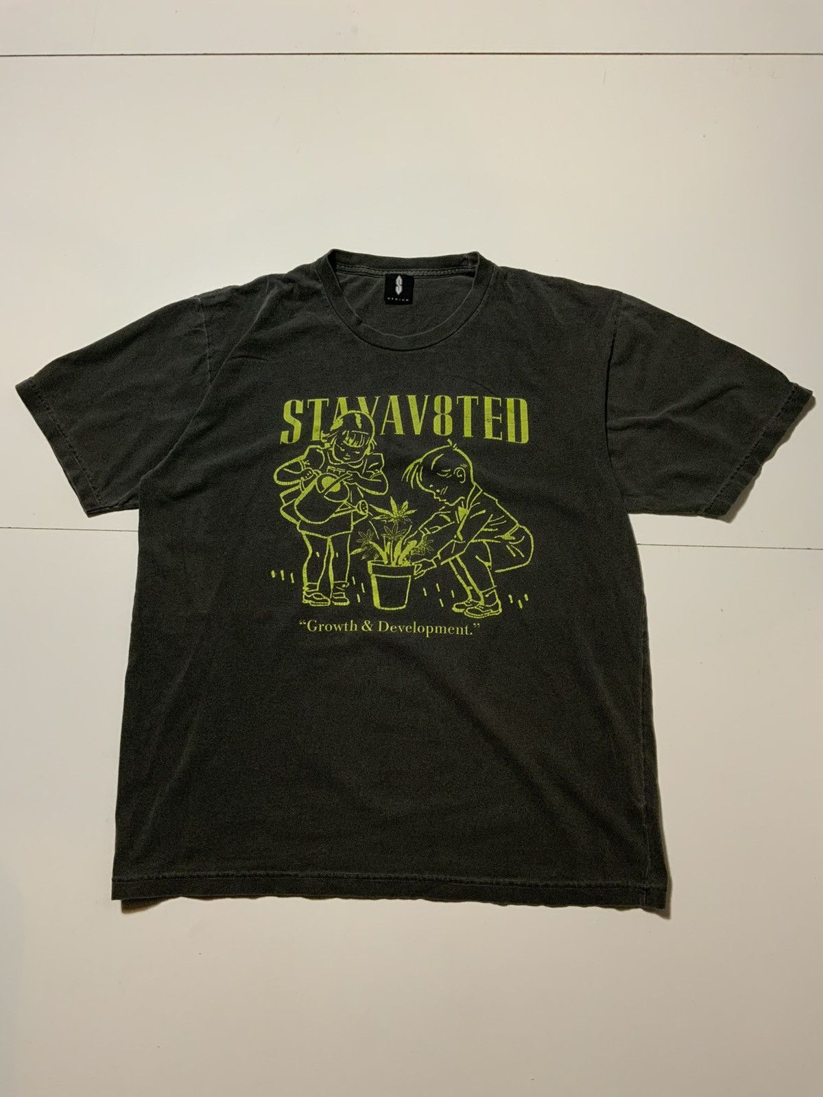 Other StayAv8Ted Growth & Development Marijuana Plant T-Shirt Size US M / EU 48-50 / 2 - 2 Thumbnail