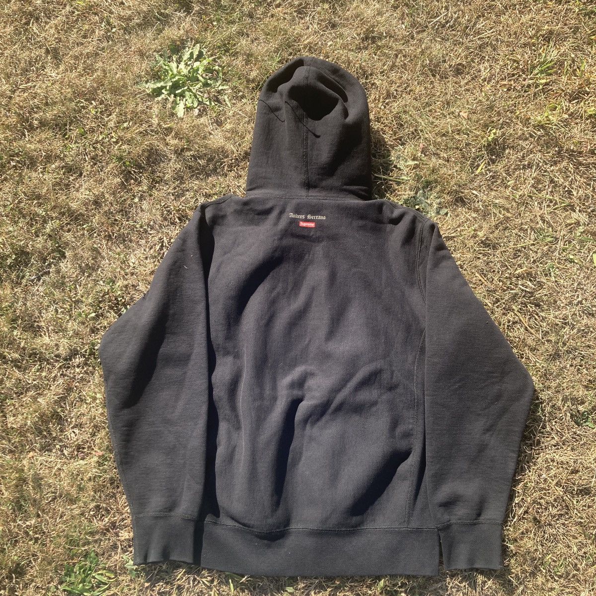 Supreme Supreme Piss Christ Andres Seranos hoodie Size US L / EU 52-54 / 3 - 2 Thumbnail