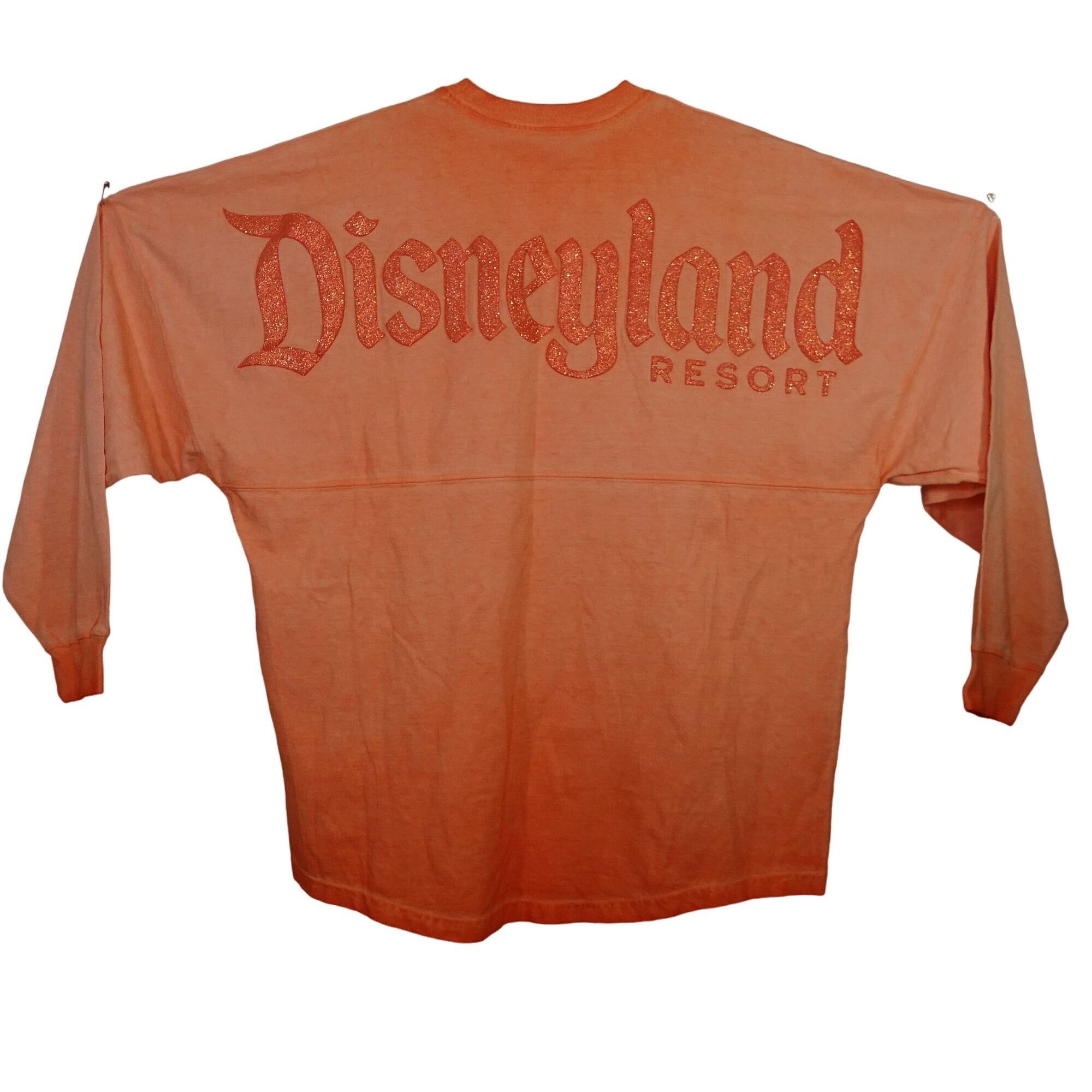 Disney Disney Parks Disneyland Spirit Jersey T-shirt Women Size M Size M / US 6-8 / IT 42-44 - 1 Thumbnail