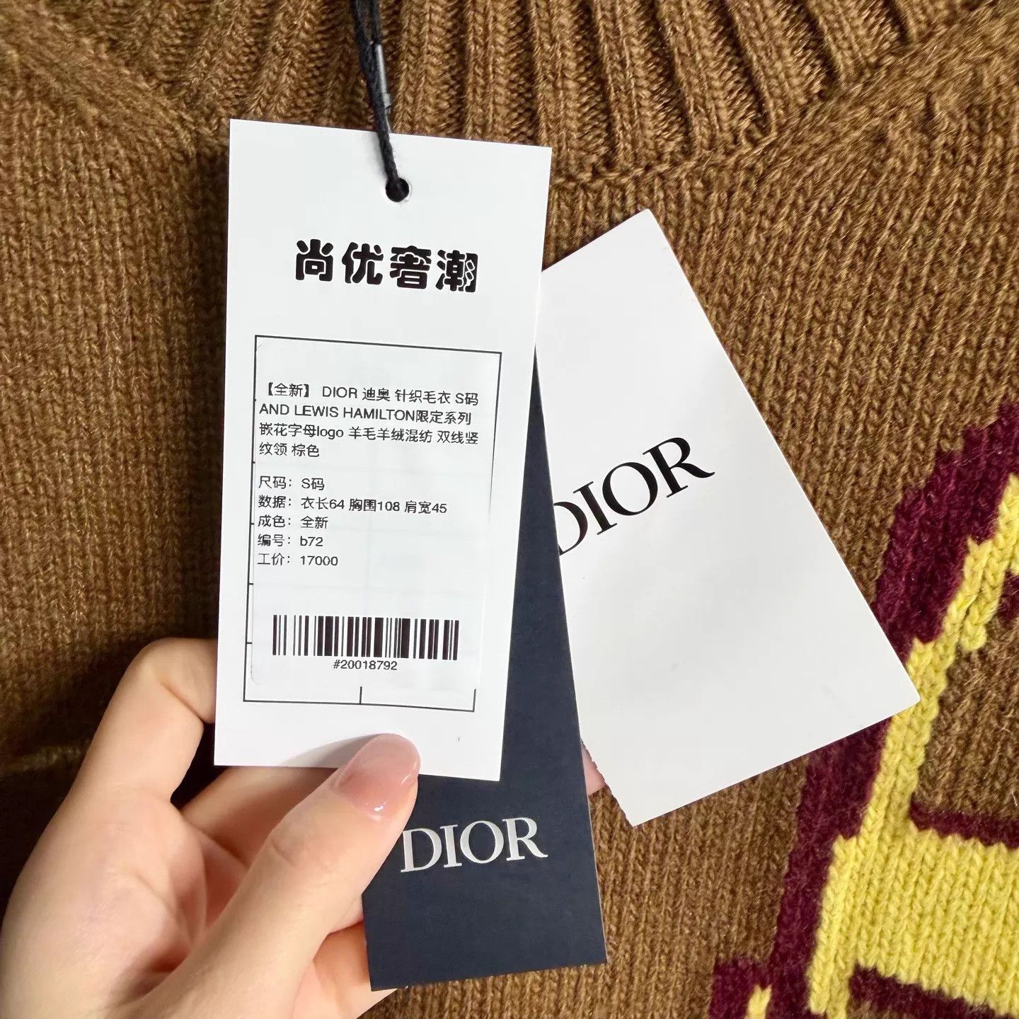 Dior DIOR x LH Knit Sweater Intarsia Wool-Cash Stripe Collar Brown S Size US S / EU 44-46 / 1 - 5 Thumbnail