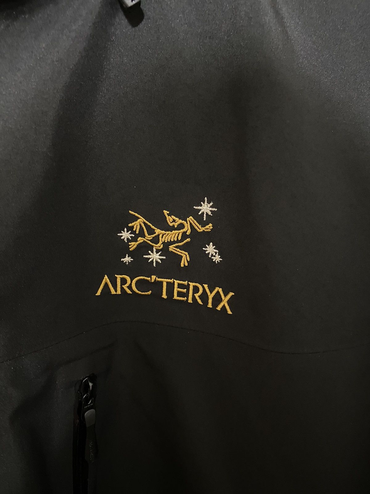 Arc'teryx × Goretex Arcteryx Better Gift Shop Alpha SV Artist Series Size US XL / EU 56 / 4 - 5 Thumbnail