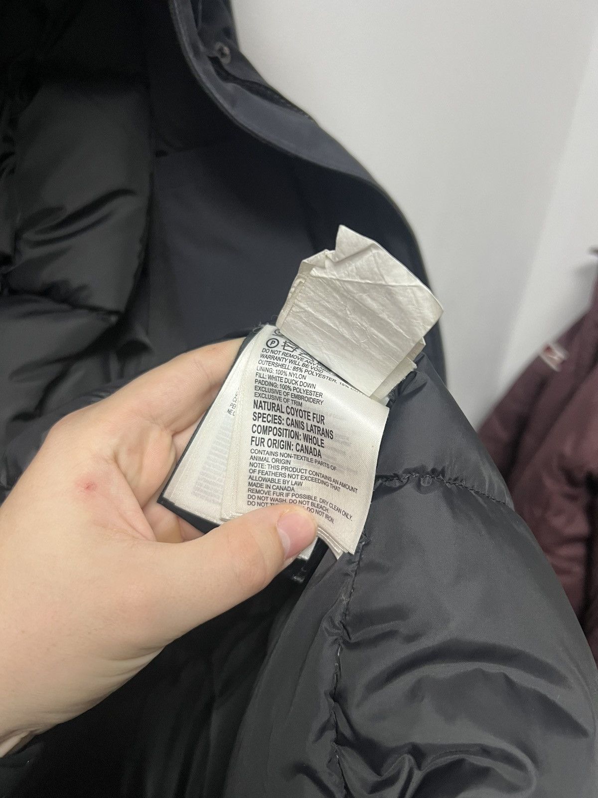 Canada Goose Canada Goose Jacket Chilliwack Black Size US S / EU 44-46 / 1 - 15 Thumbnail