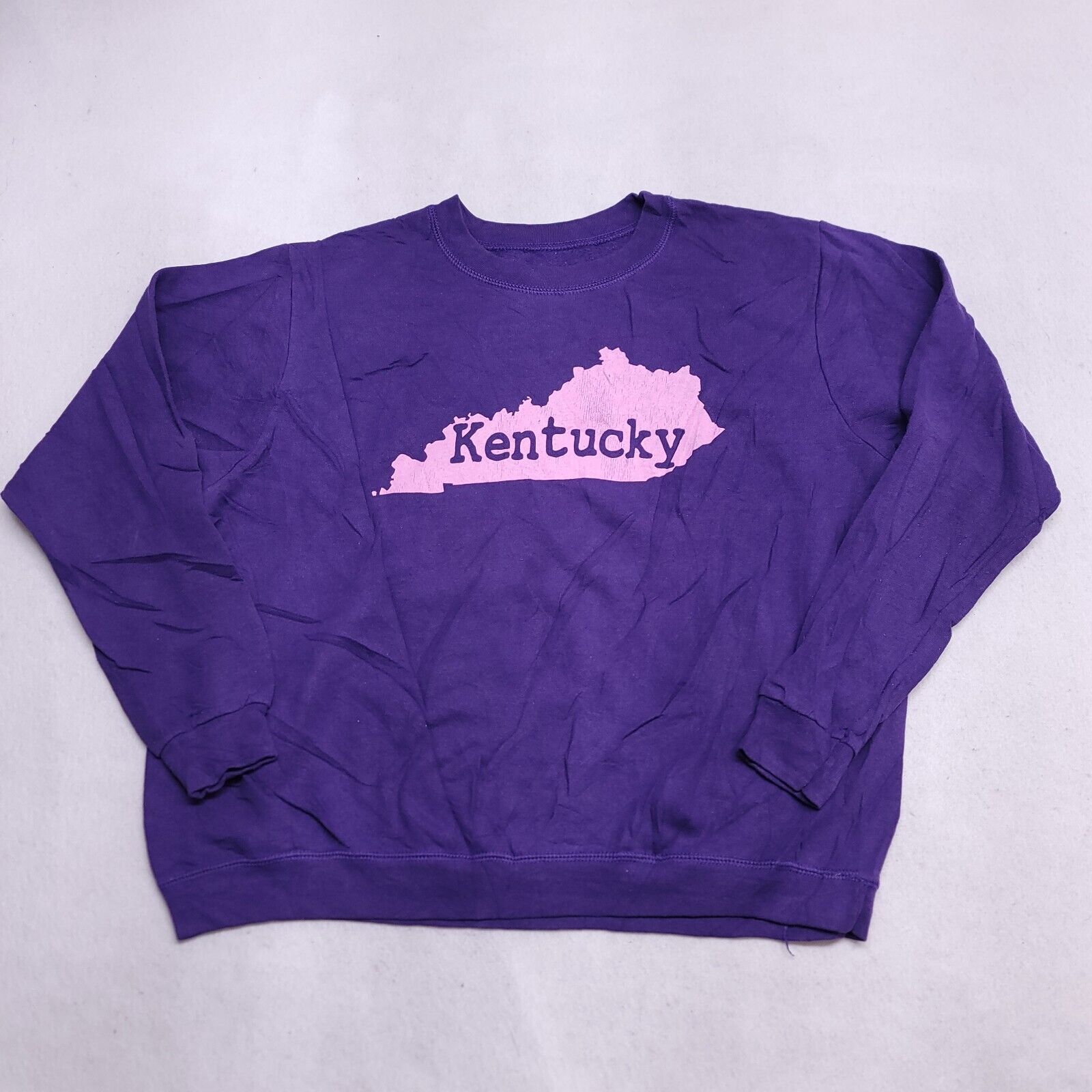 Gildan Kentucky Pullover Long Sleeve Sweatshirt Womens Size Large L Size L / US 10 / IT 46 - 2 Thumbnail