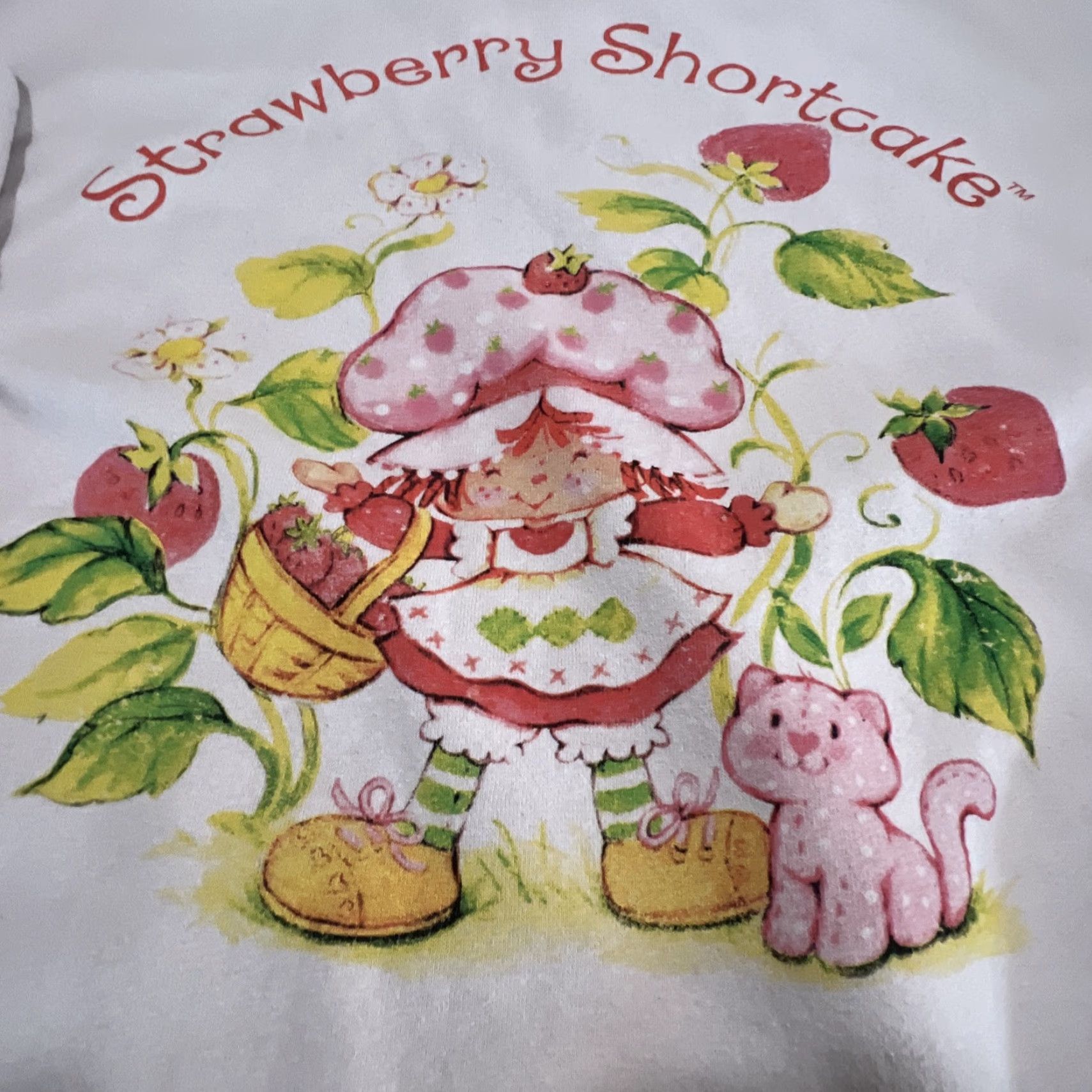 Pinko Vintage Strawberry Shortcake Sweatshirt Womans Size Small Pale Pink Graphics Size S / US 4 / IT 40 - 3 Thumbnail
