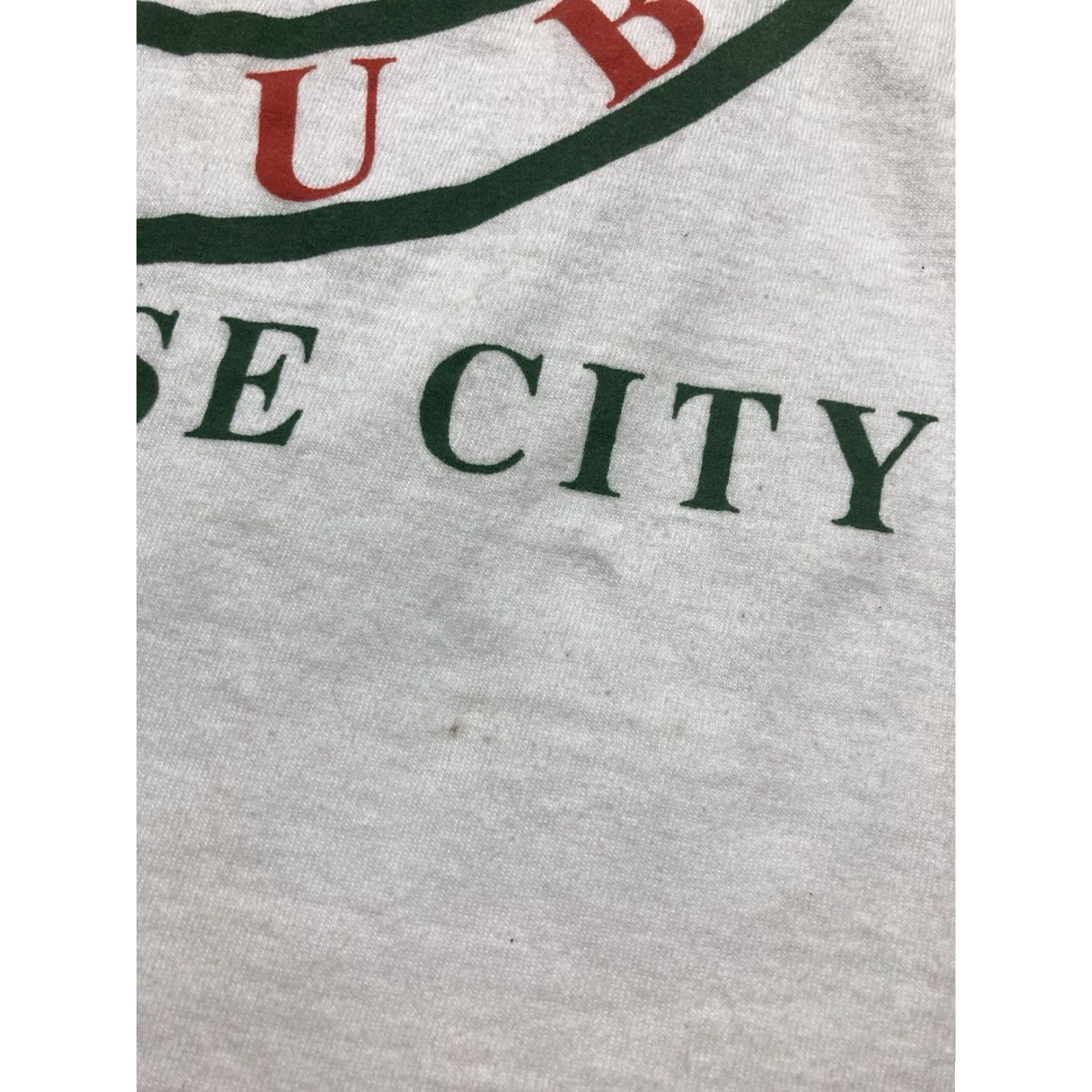 Hanes VINTAGE 80s graphic t shirt polo club traverse city Michigan horse medium Hanes White Men M T-Shirt Size US M / EU 48-50 / 2 - 4 Thumbnail