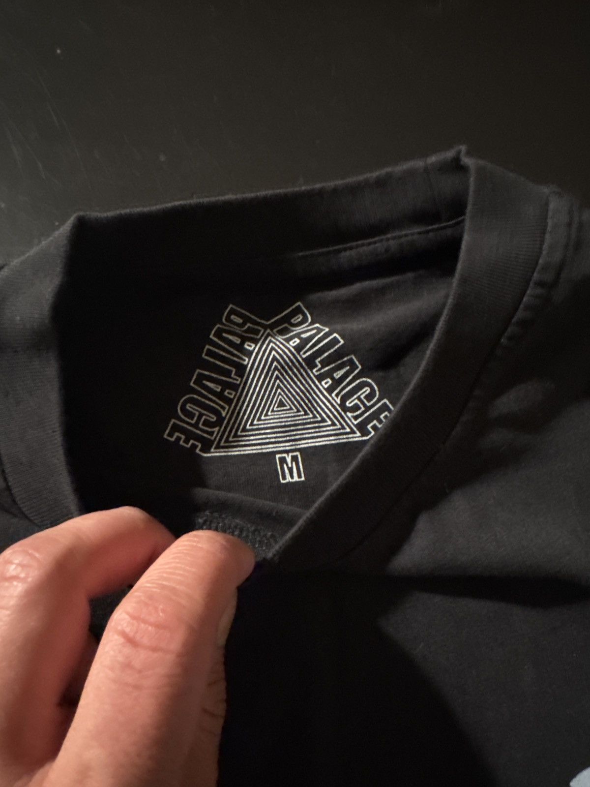 Palace Pal Ice T Shirt Size US M / EU 48-50 / 2 - 4 Thumbnail