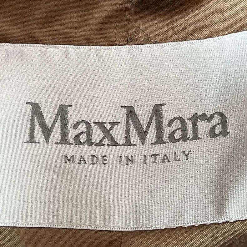 Max Mara Max Mara Teddy Bear Coat Winter Size L / US 10 / IT 46 - 4 Thumbnail