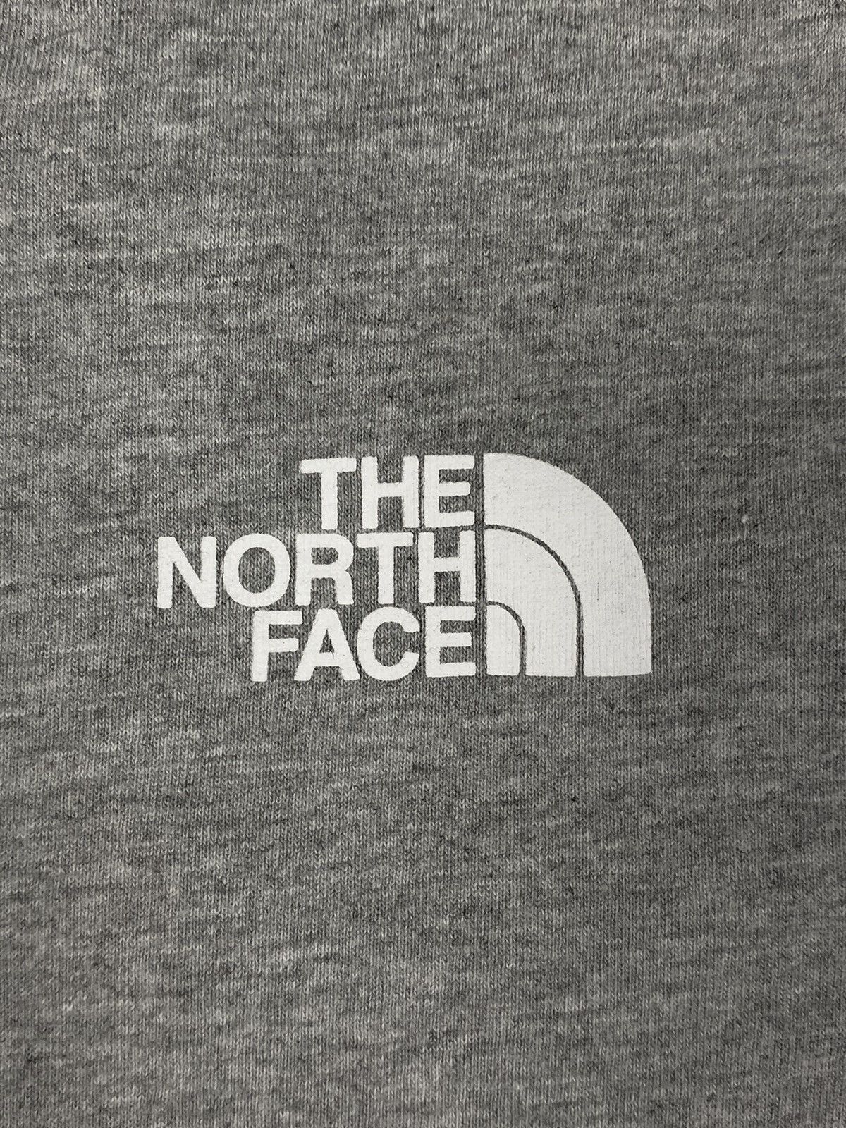 The North Face The North Face Gorpcore Outdoor Life Big Logo Tee size M Size US M / EU 48-50 / 2 - 8 Thumbnail
