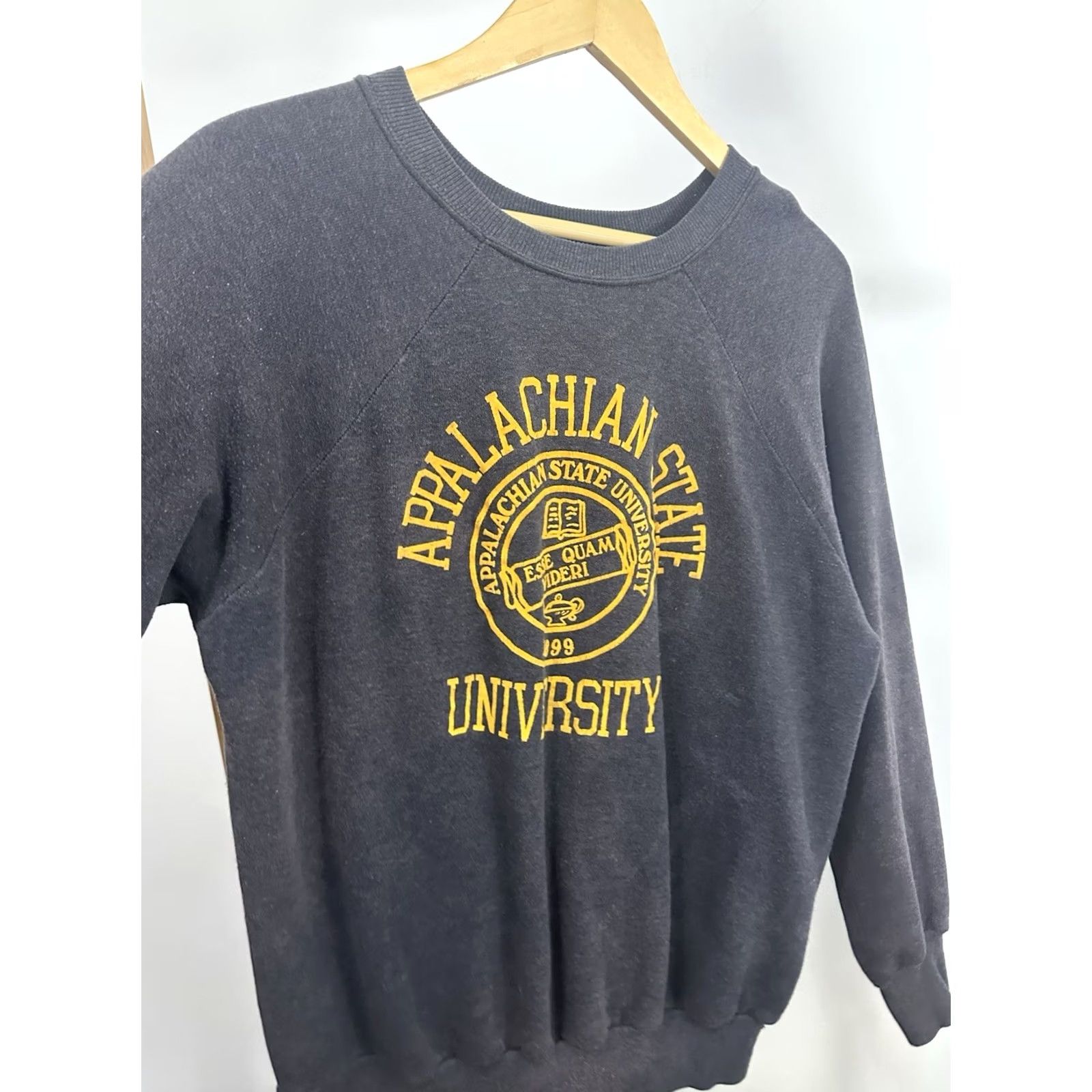 Vintage VTG 70s Appalachian State Mountaineer Sweatshirt L Charcoal Mens Pullover Sun Faded Flock Boxy Gradient Wear Size US L / EU 52-54 / 3 - 5 Thumbnail