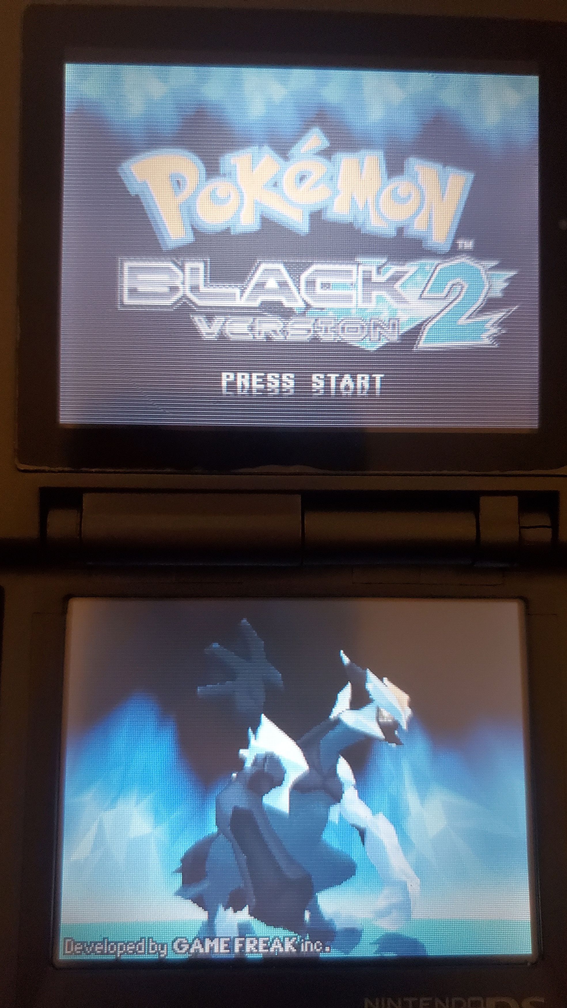 Nintendo Pokemon Black 2 Nintendo DS Video Game Cartridge Size ONE SIZE - 2 Thumbnail