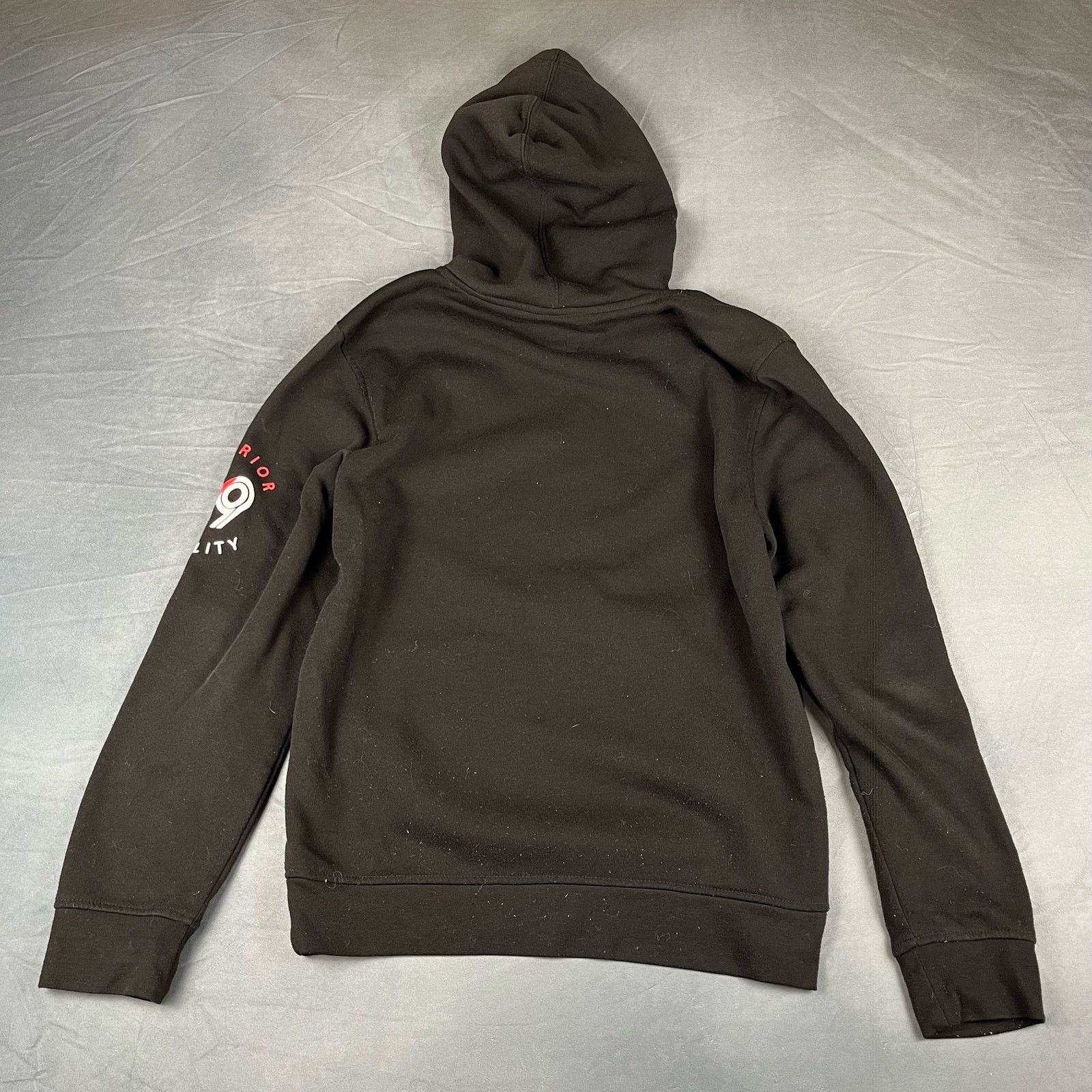Akademiks Vintage Y2K Akademiks Streetwear Puffy Graphic Hoodie P-11 Size US L / EU 52-54 / 3 - 6 Thumbnail