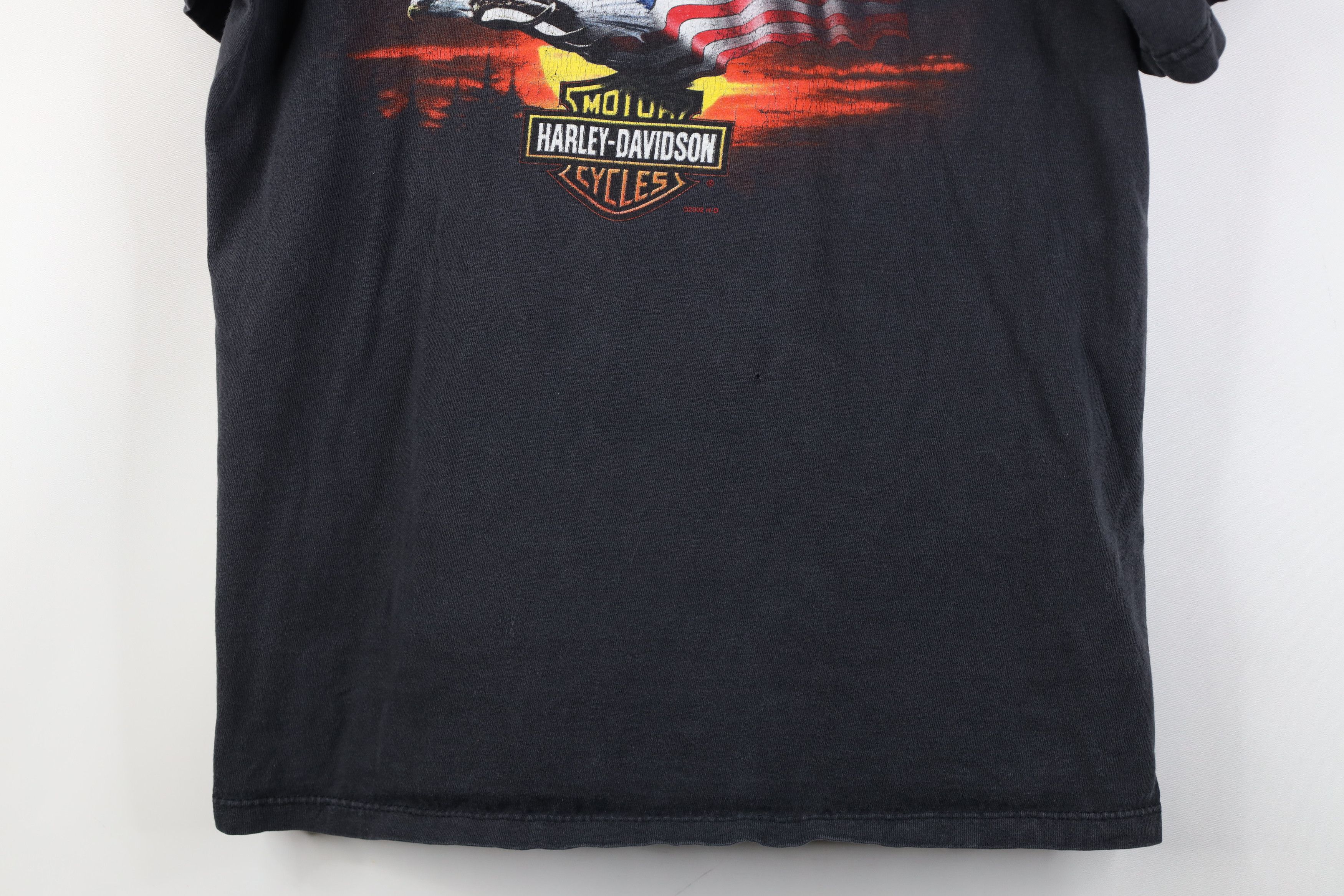Harley Davidson Vintage Y2k 2002 Harley Davidson Eagle Flag T-Shirt USA Size US L / EU 52-54 / 3 - 3 Thumbnail