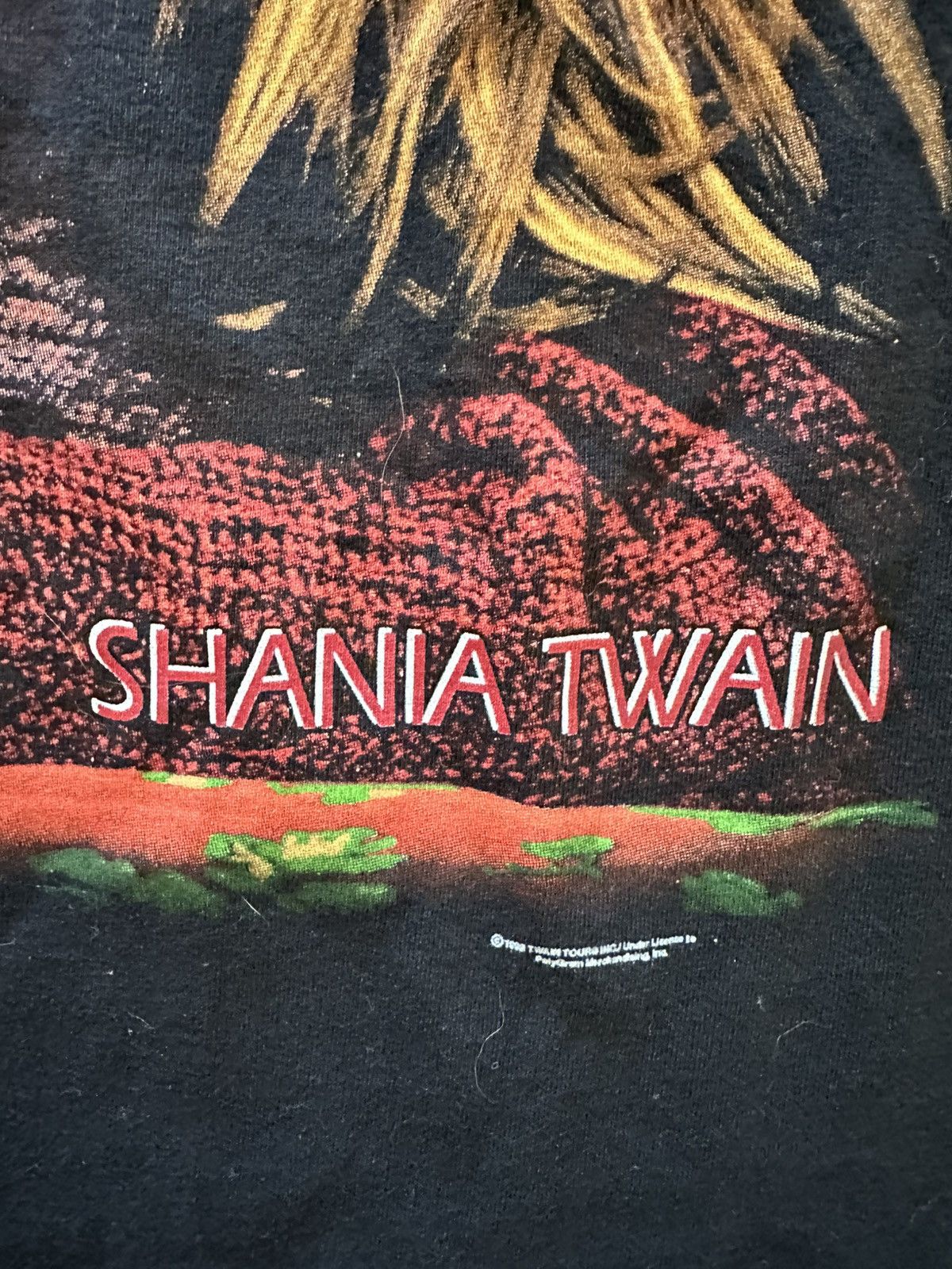 Band Tees × Vintage Vintage 90s Shania Twain Country Music Shirt Size US L / EU 52-54 / 3 - 3 Thumbnail