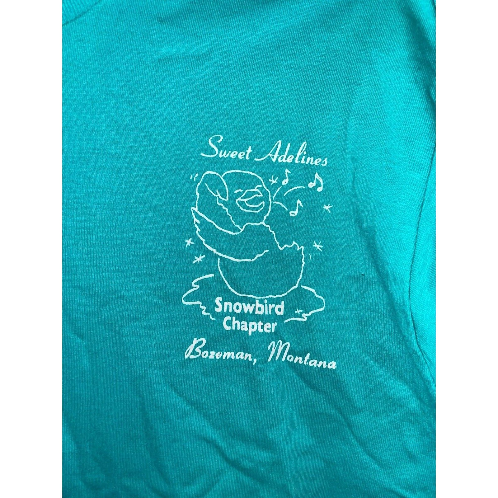 Jerzees Vintage Sweet Adelines Shirt Snowbird Chapter Teal VTG 90s M Size US M / EU 48-50 / 2 - 3 Thumbnail