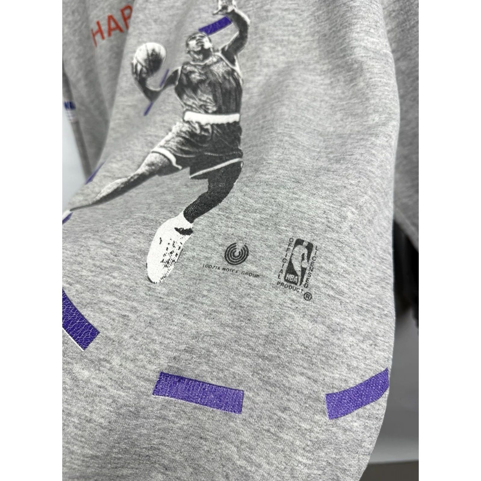 NBA VINTAGE 90s Charlotte Hornets Larry Johnson NBA Sweatshirt M Mens Gray Pullover Sweatshirt Size US S / EU 44-46 / 1 - 6 Thumbnail