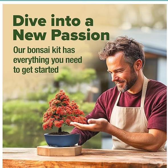 NBDN Nobrandedon Complete Bonsai Starter Kit w/ 6 Seed Varieties - Unique Size ONE SIZE - 5 Thumbnail