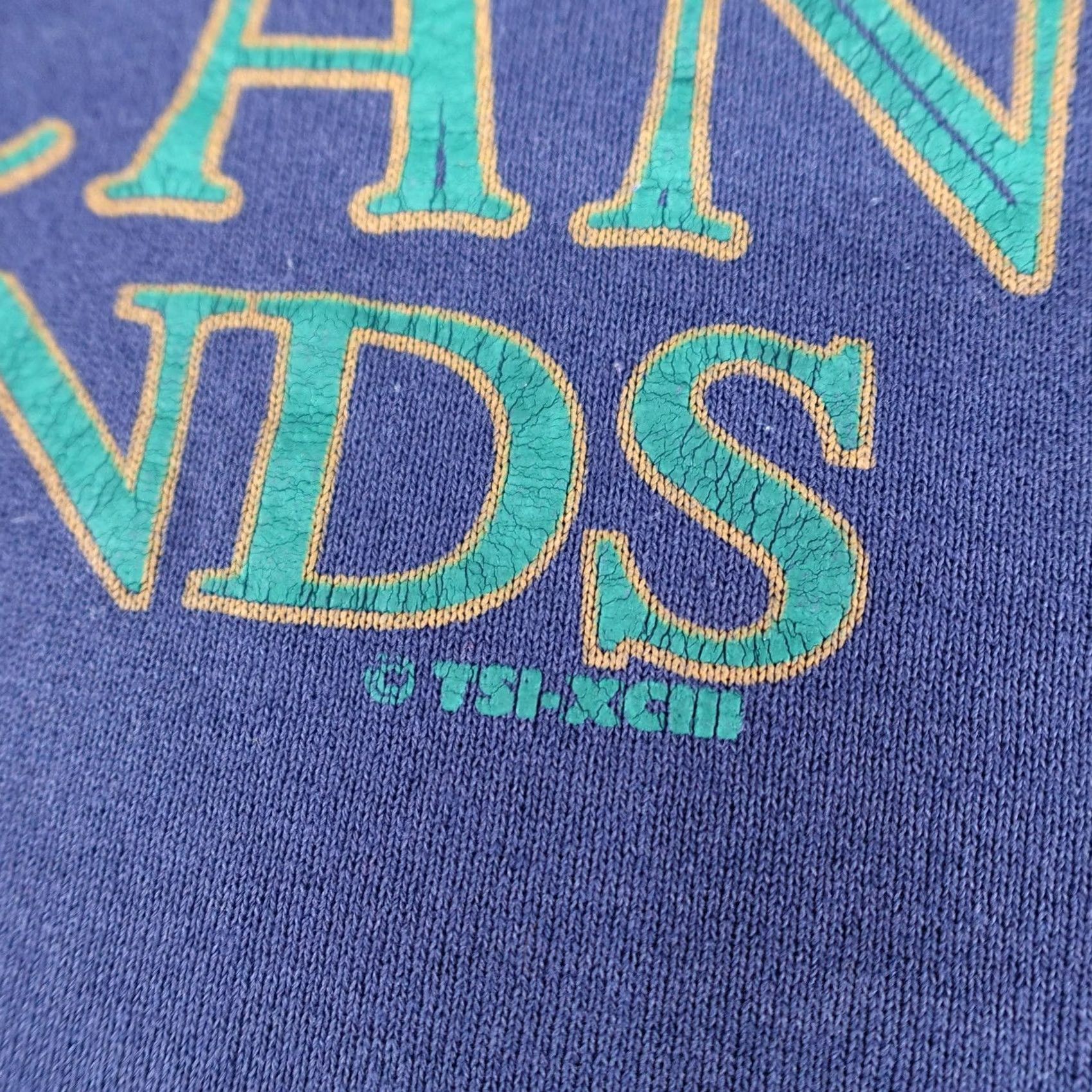 Fruit Of The Loom VINTAGE Bald Eagle Sweatshirt Mens Large Blue 90s Pullover American Woodlands Nike? Size US L / EU 52-54 / 3 - 3 Thumbnail