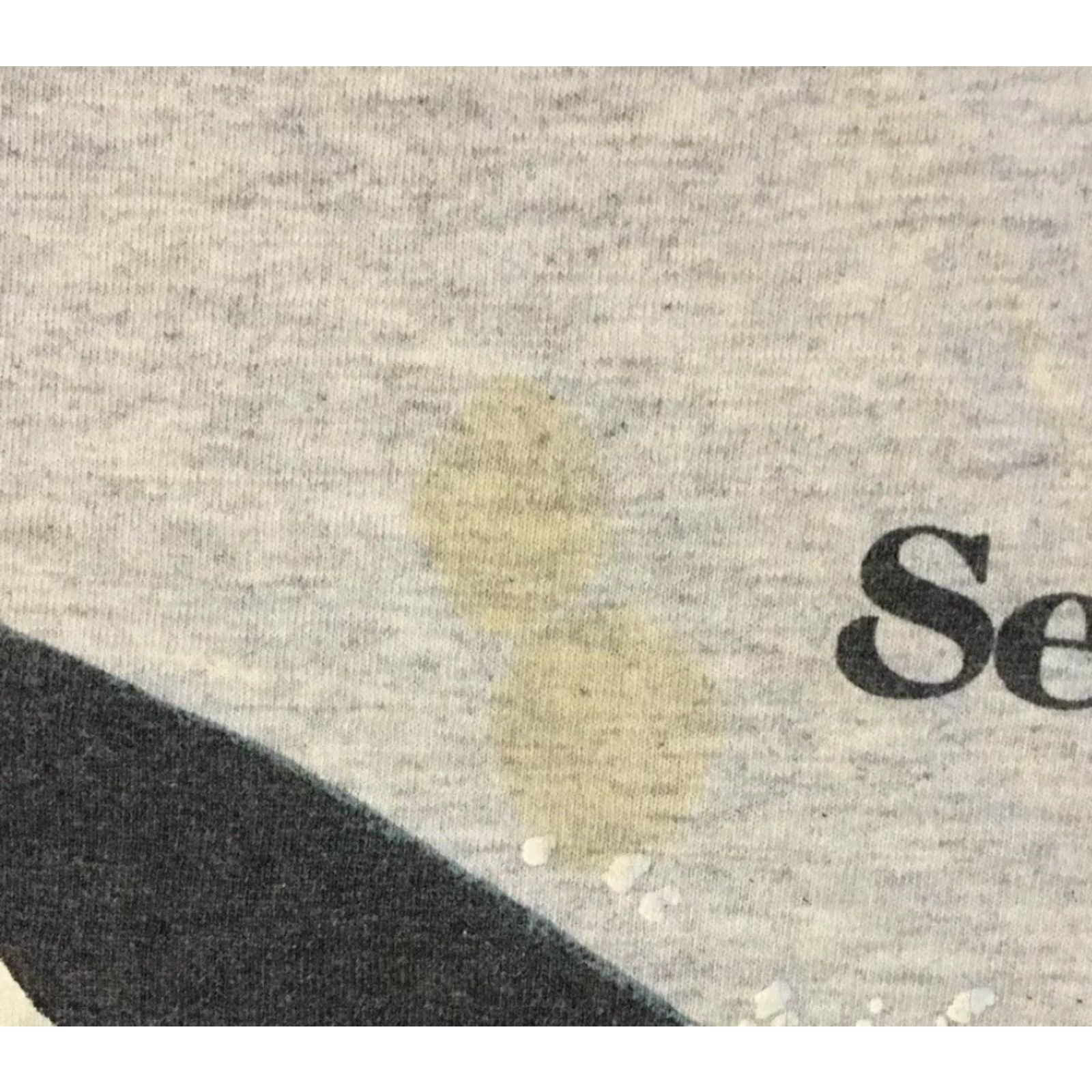 Vintage VINTAGE Sea World Shamu Faded Tank Top Gray S Shirt Men Small Grunge 90s Animals Beach Surf USA Size US S / EU 44-46 / 1 - 5 Thumbnail