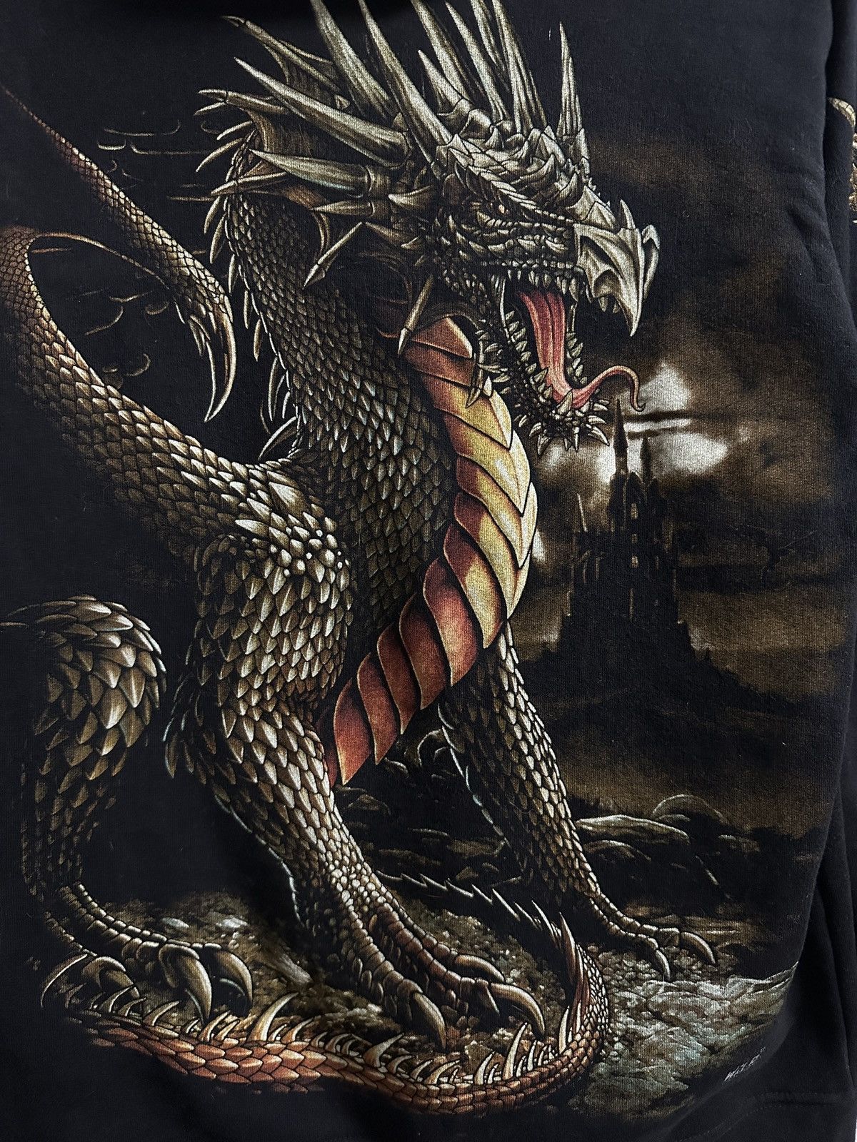 Other Dragon Glowing Print Rare Vintage Hoodie Rock Wild Y2K Japan Size US M / EU 48-50 / 2 - 6 Thumbnail