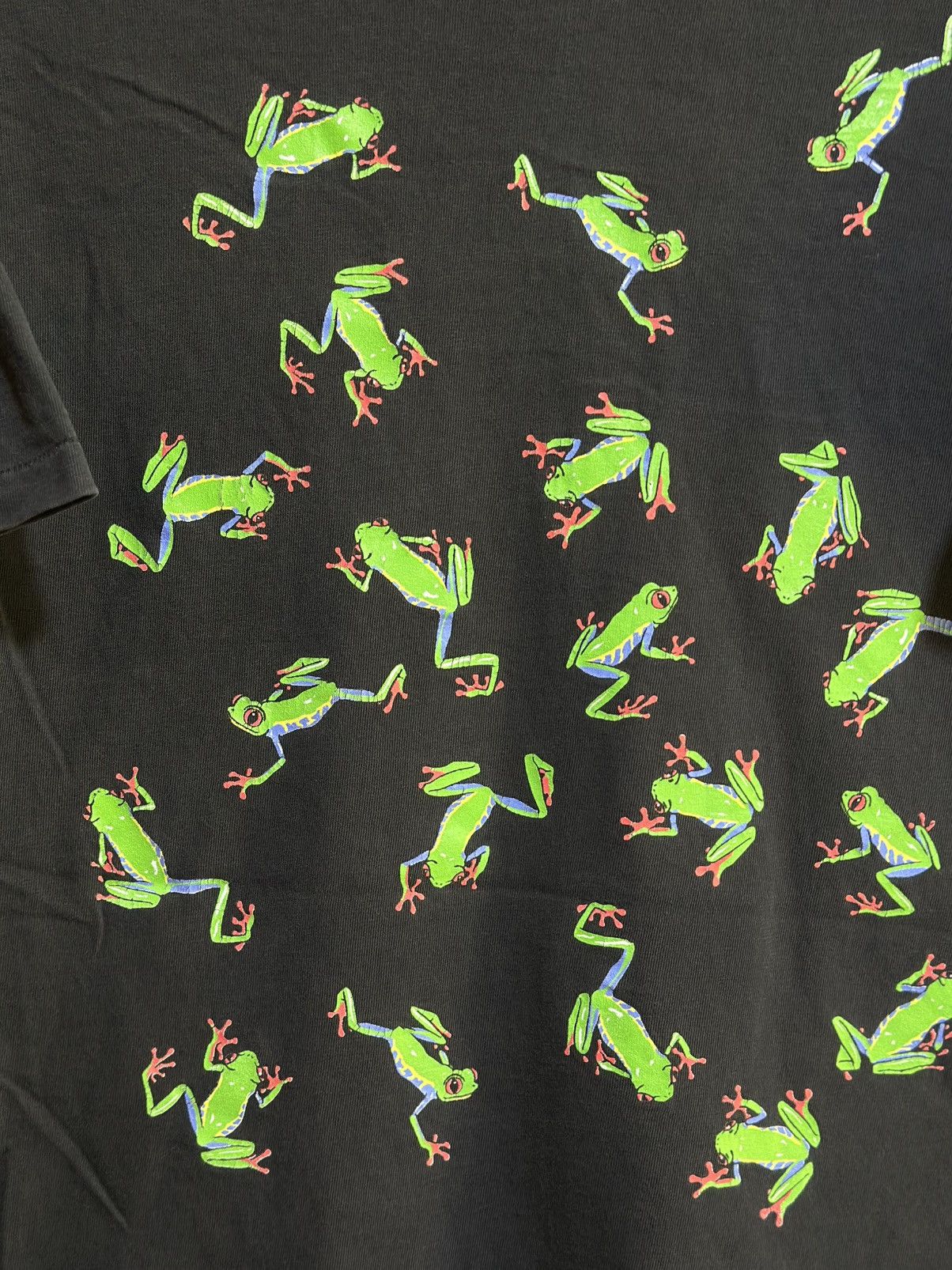 Vintage Vintage Dan Gilbert Frog Faded Tee Size US M / EU 48-50 / 2 - 8 Thumbnail