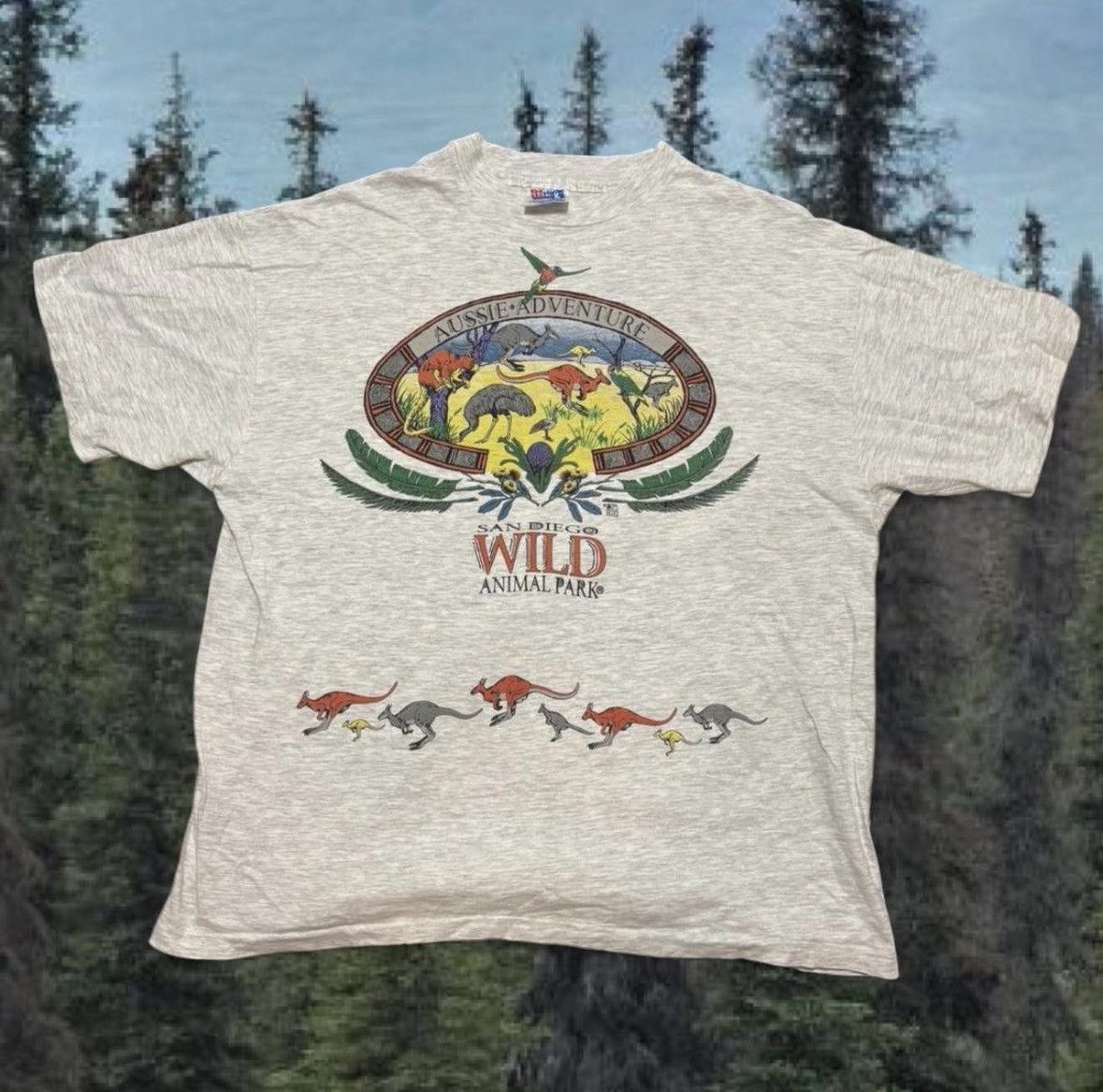 Hanes 90s singlestitch San Diego Wild Animal Park grey Tee rare Size US XL / EU 56 / 4 - 1 Thumbnail