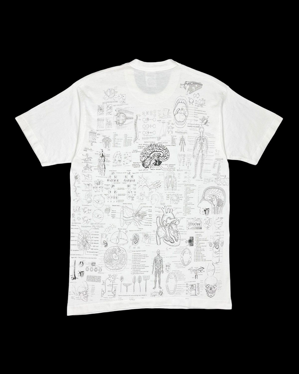 Vintage 1990s Blinded by Science Test Answer Anatomy Tee Size US M / EU 48-50 / 2 - 13 Thumbnail