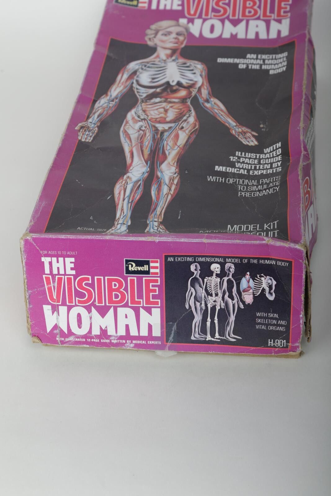Other 60's Renwal The Invisible Woman Anatomy Model Kit Size ONE SIZE - 3 Thumbnail