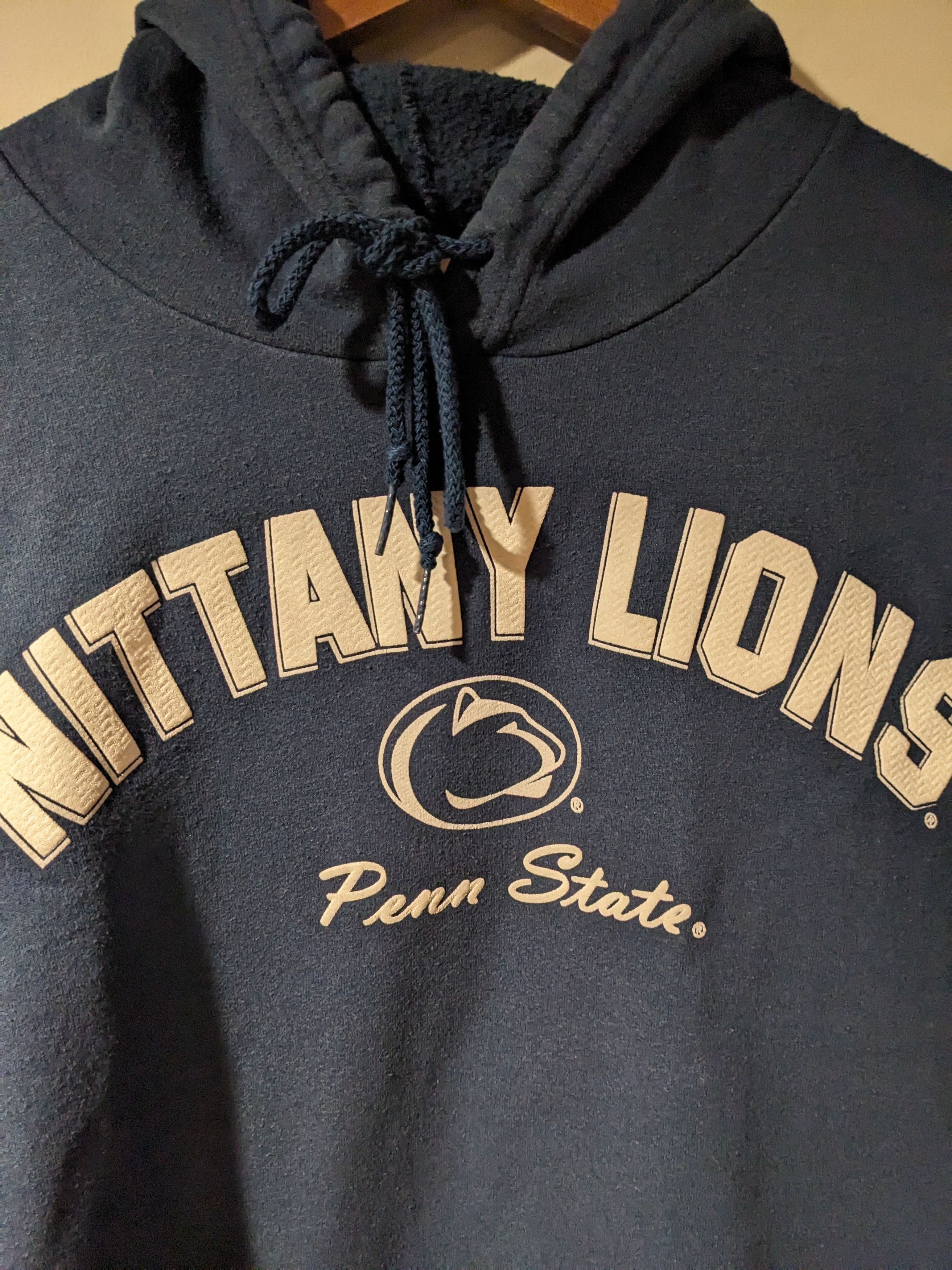 Vintage Vintage Y2K Penn State University Nittany Lion Large Hoodie Size US L / EU 52-54 / 3 - 2 Thumbnail