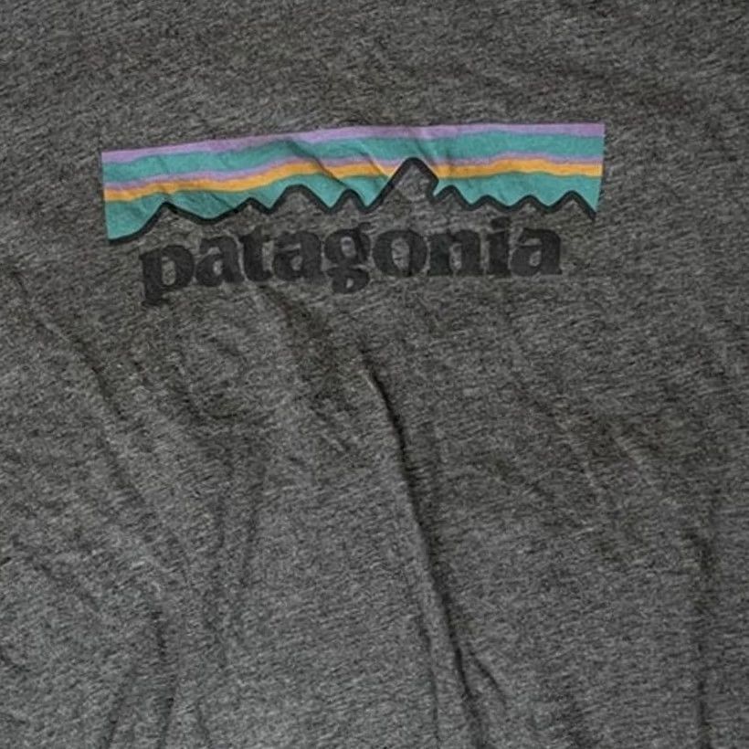 Patagonia VINTAGE Patagonia Tee Womens Graphic Short Sleeve Size XS Size 26" / US 2 / IT 38 - 2 Thumbnail