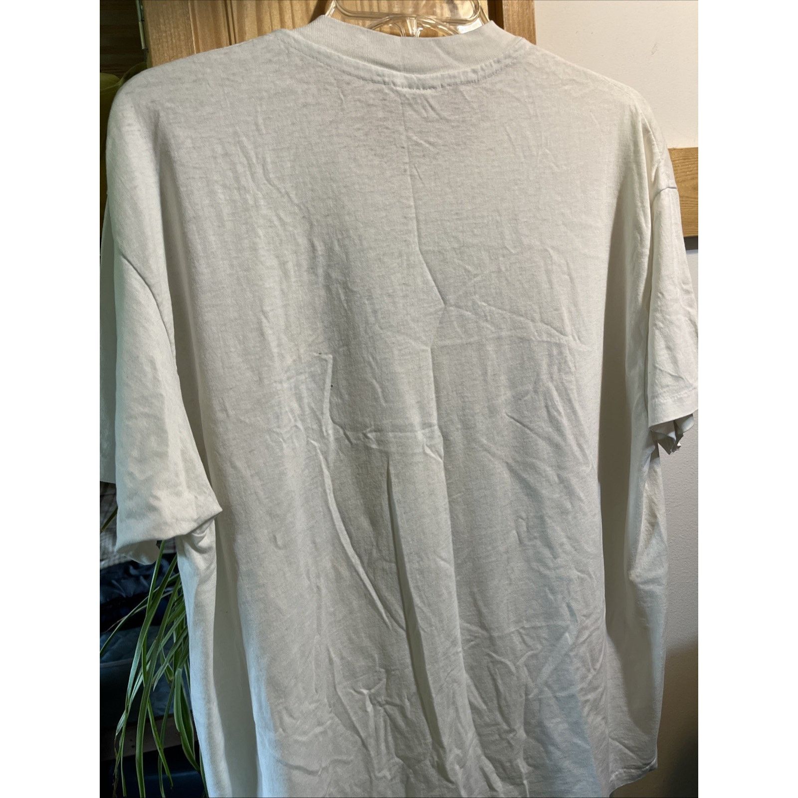 Hanes VTG Earth Friends Protect Deserts Tee XL San Diego Cotton Size US XL / EU 56 / 4 - 9 Thumbnail