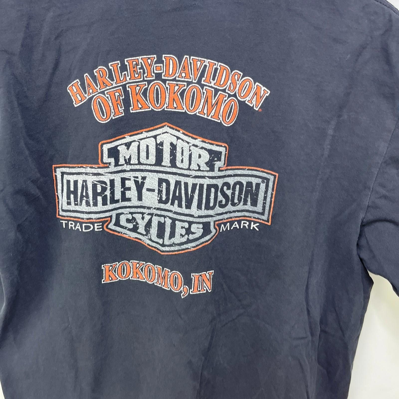 Harley Davidson Vintage Harley Davidson Sun Faded Wings Flames T Shirt XL Size US XL / EU 56 / 4 - 6 Thumbnail