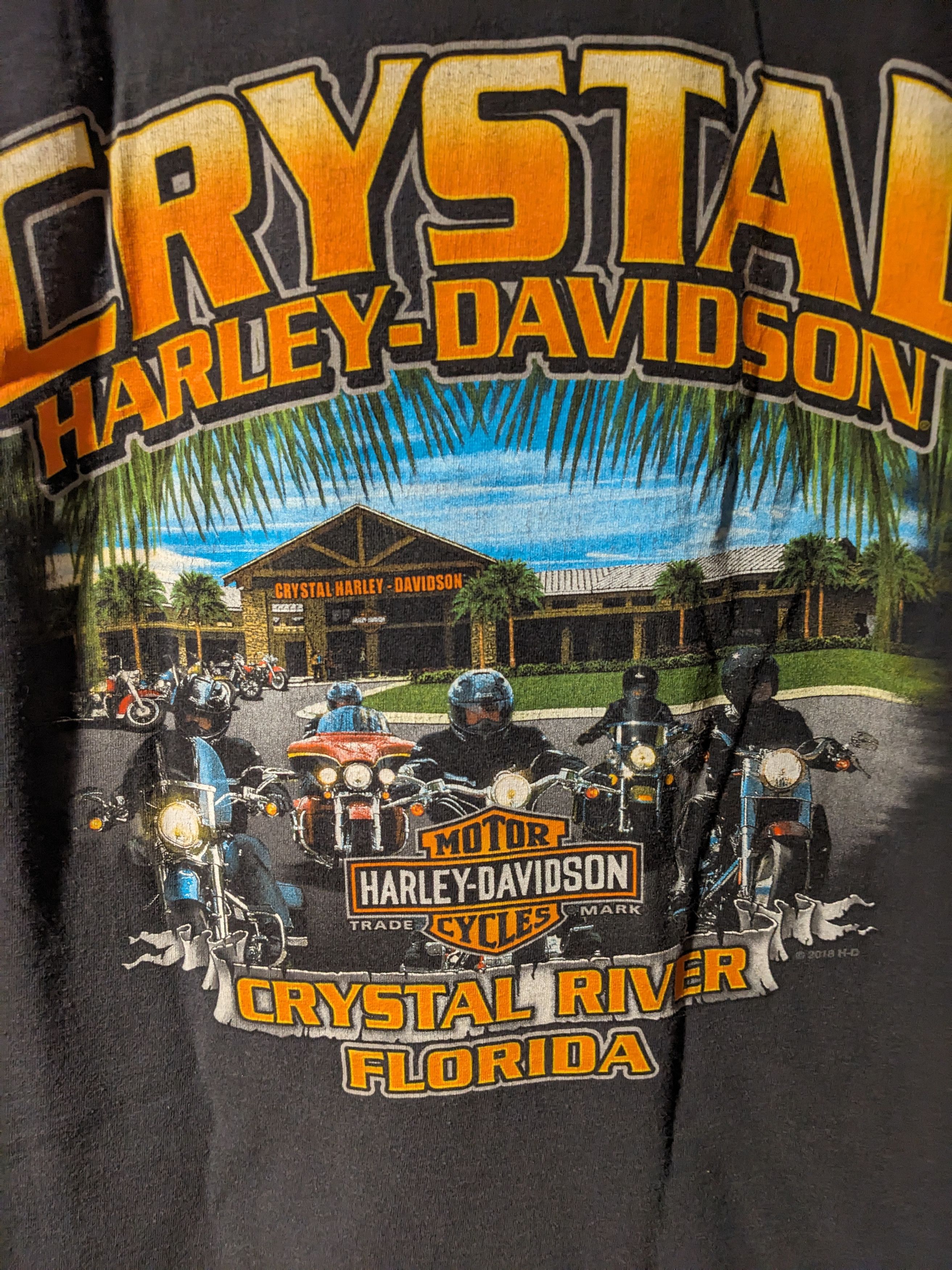 Harley Davidson × Vintage Harley Davidson Motorcycle Crystal River Florida T-Shirt Size US XL / EU 56 / 4 - 2 Thumbnail