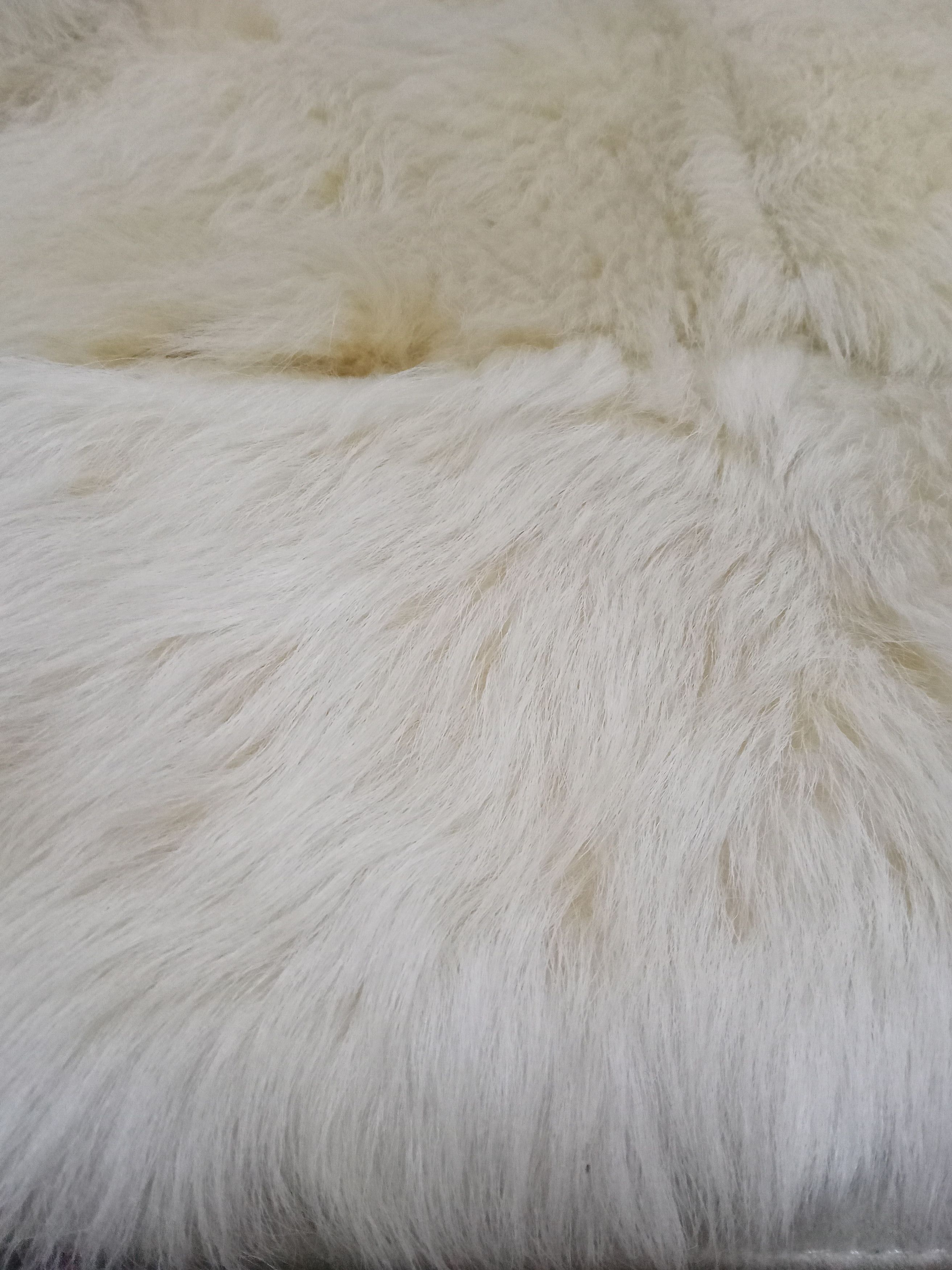 Loewe Loewe Leather Fur Lined Extremely Rare Jacket Size M / US 6-8 / IT 42-44 - 6 Thumbnail