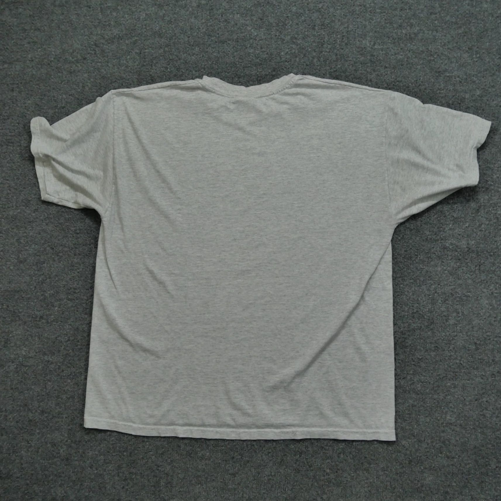 Vintage VINTAGE Family Reunion T Shirt Adult Large Gray History United States 2001 Y2K Men L Cotton Short Sleeve Crew Neck Graphic 5/10 7/10 Size US L / EU 52-54 / 3 - 6 Thumbnail