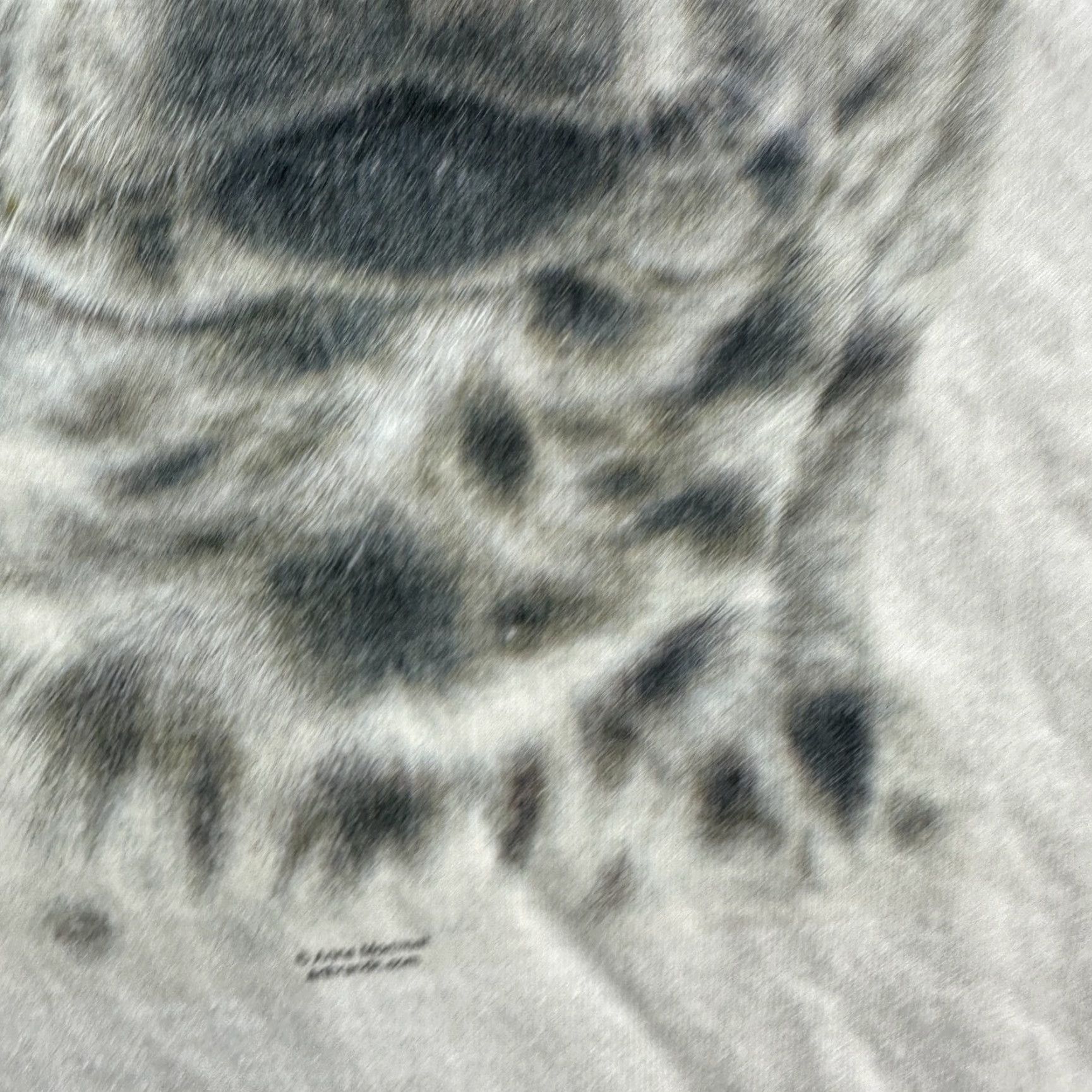 Gildan Gildan Men's Small White Animal Art T-Shirt Vintage 90s Dog Cat Graphic Tee Movable Art Size US S / EU 44-46 / 1 - 6 Thumbnail