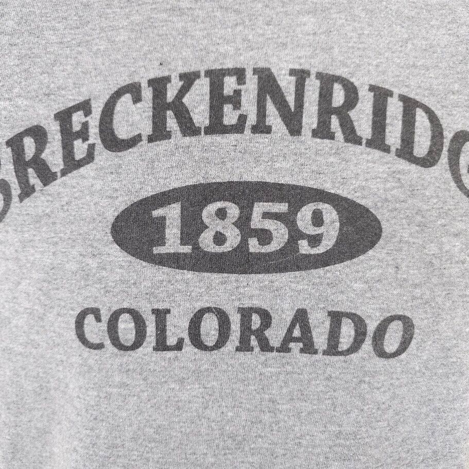 Delta Ski Breckenridge T Shirt Mens Size Small Gray Colorado Size US S / EU 44-46 / 1 - 2 Thumbnail