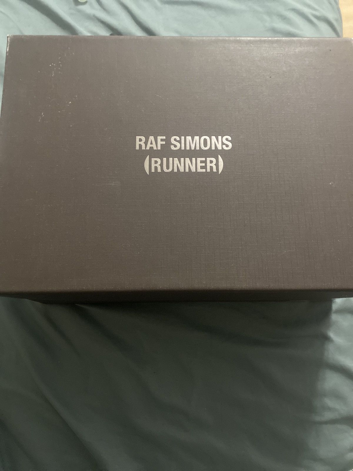 raf simons dunks