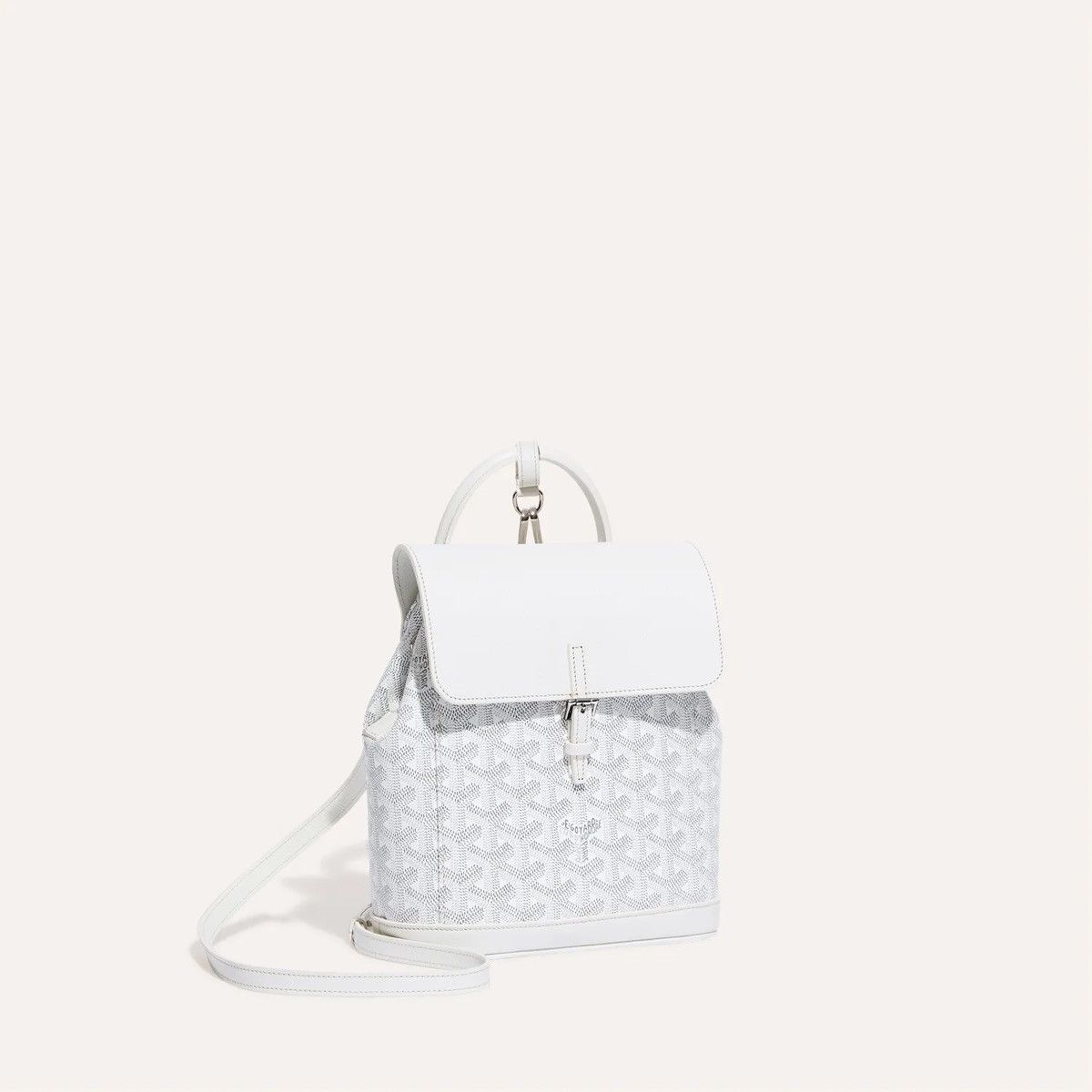 Goyard Alpin mini backpack Size ONE SIZE - 1 Thumbnail