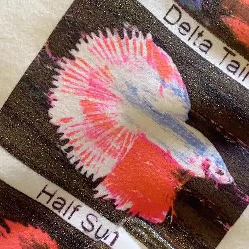 Japanese Brand Masaki x Mina White street retro fish print cotton hoodie Size US L / EU 52-54 / 3 - 3 Thumbnail