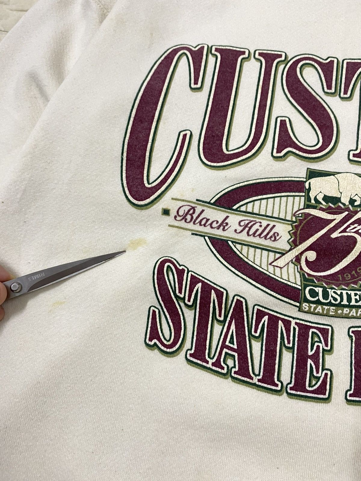 Vintage Vintage 90s Custer State Park Big Logo Sweatshirt | M Size US M / EU 48-50 / 2 - 6 Thumbnail