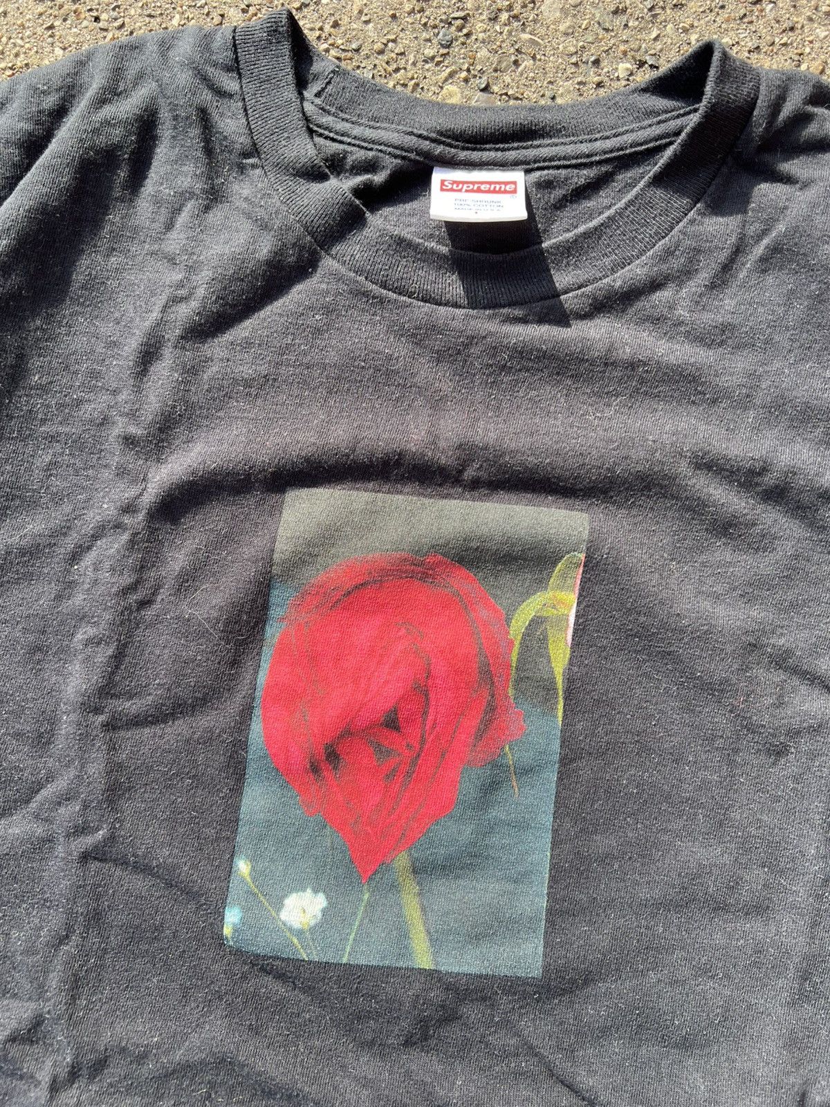 Supreme 2016 Supreme Akari Rose Tee T Shirt Black size L Size US L / EU 52-54 / 3 - 3 Thumbnail