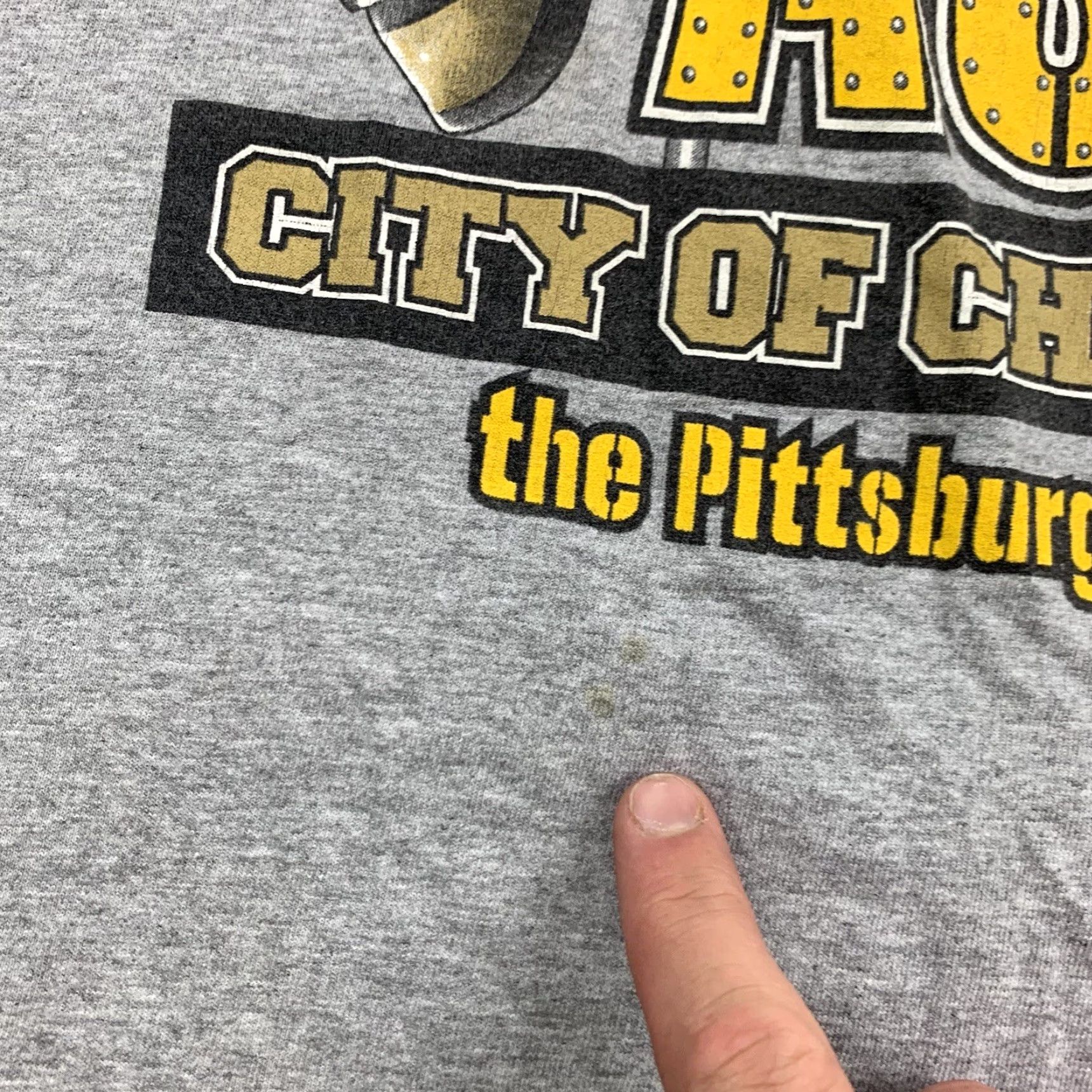 Fruit Of The Loom VINTAGE Pittsburgh Nation Sports Shirt Adult XL Gray Steelers Bruins Football Size US XL / EU 56 / 4 - 3 Thumbnail