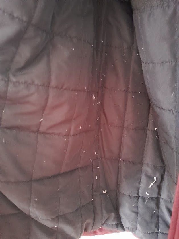 Zara Zara Winter Jacket Size M / US 6-8 / IT 42-44 - 5 Thumbnail