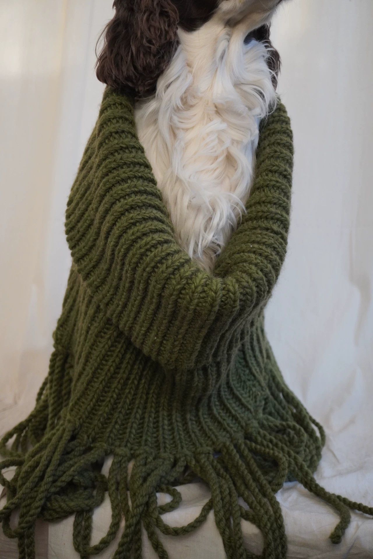 Other zooSelect Hand-Knit Bulky Fringed Cowl Snake Green Size ONE SIZE - 8 Thumbnail