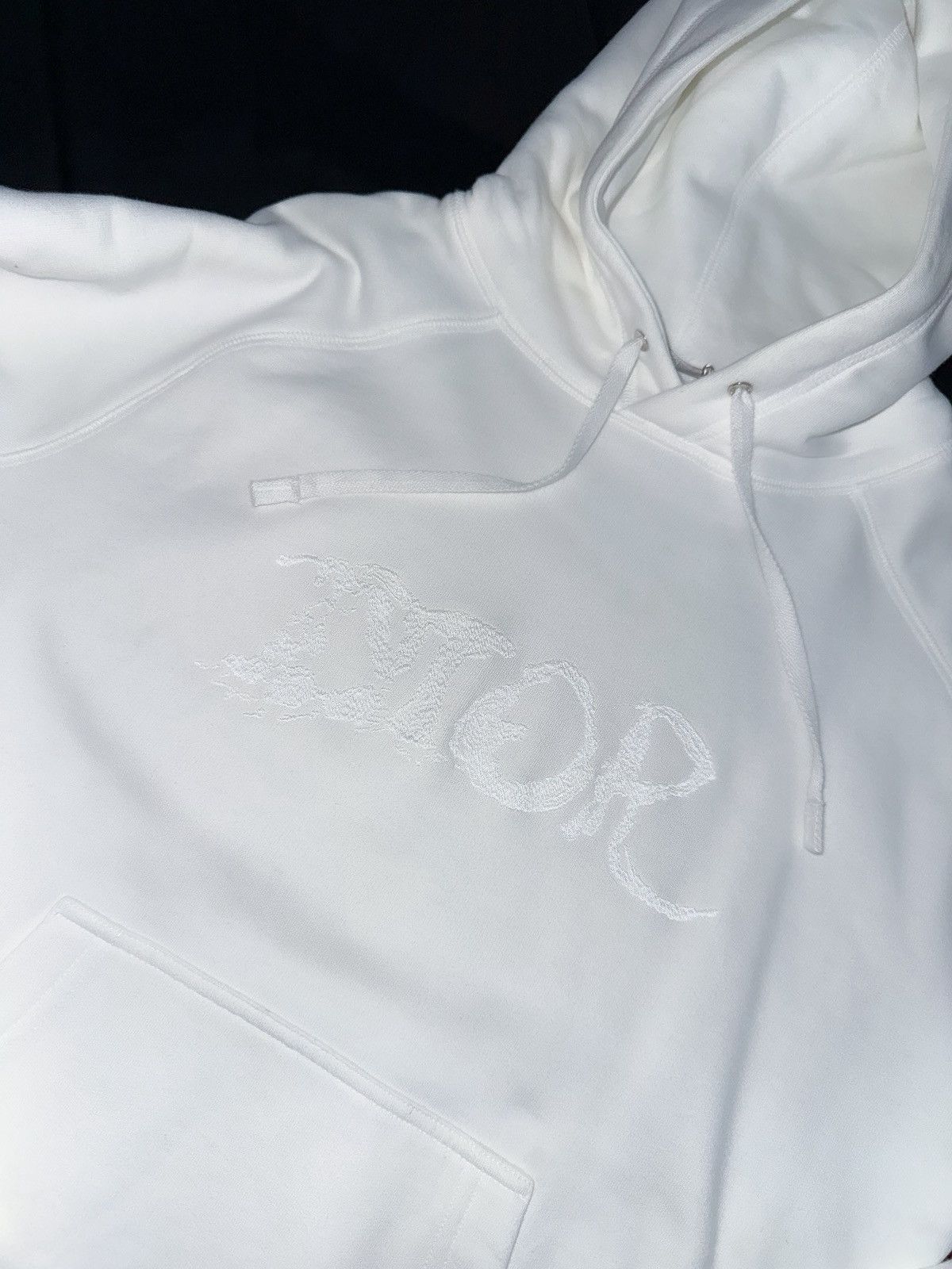 Dior Dior x Peter Doig logo hoodie Size US S / EU 44-46 / 1 - 3 Thumbnail