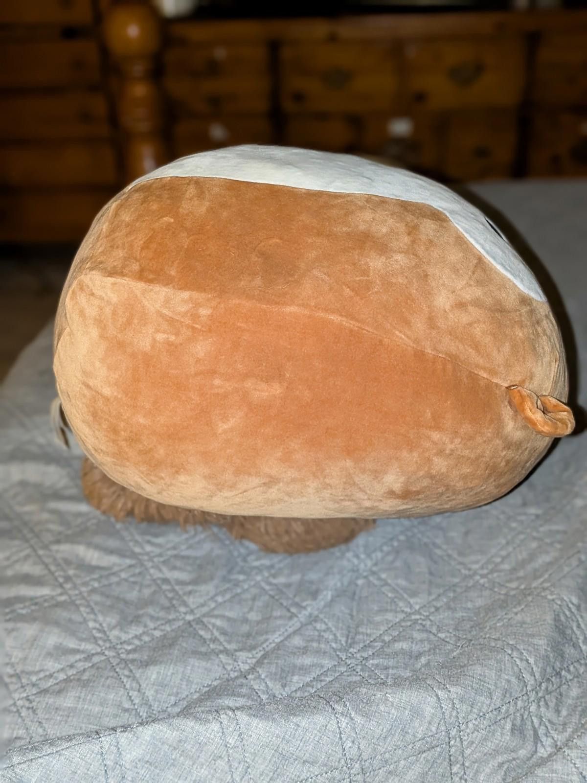 Designer Rare Sawyer the Squirrel 16" Squishmallow Stuffed Animal Size ONE SIZE - 3 Thumbnail