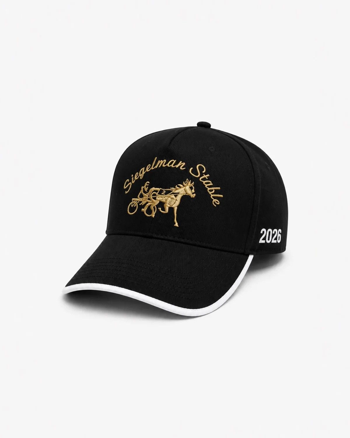 Siegelman Stable New York Knicks Snapback Hat Champs in Black, Men's — image 6 of 6