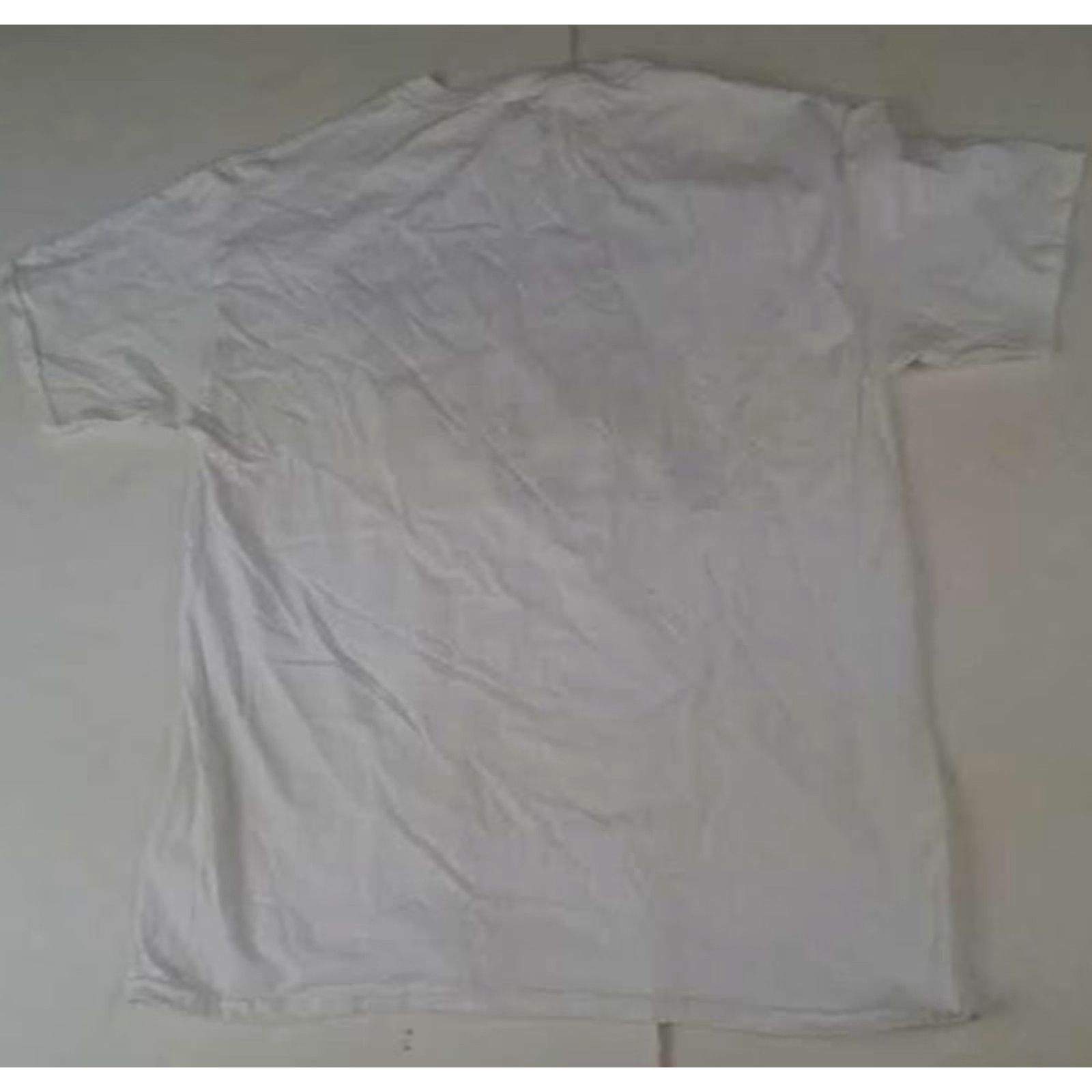 Fruit Of The Loom Fruit of the Loom Michigan Detroit Panthers USFL White T-Shirt L White Unisex Adults Short Sleeve Sports Size US L / EU 52-54 / 3 - 4 Thumbnail