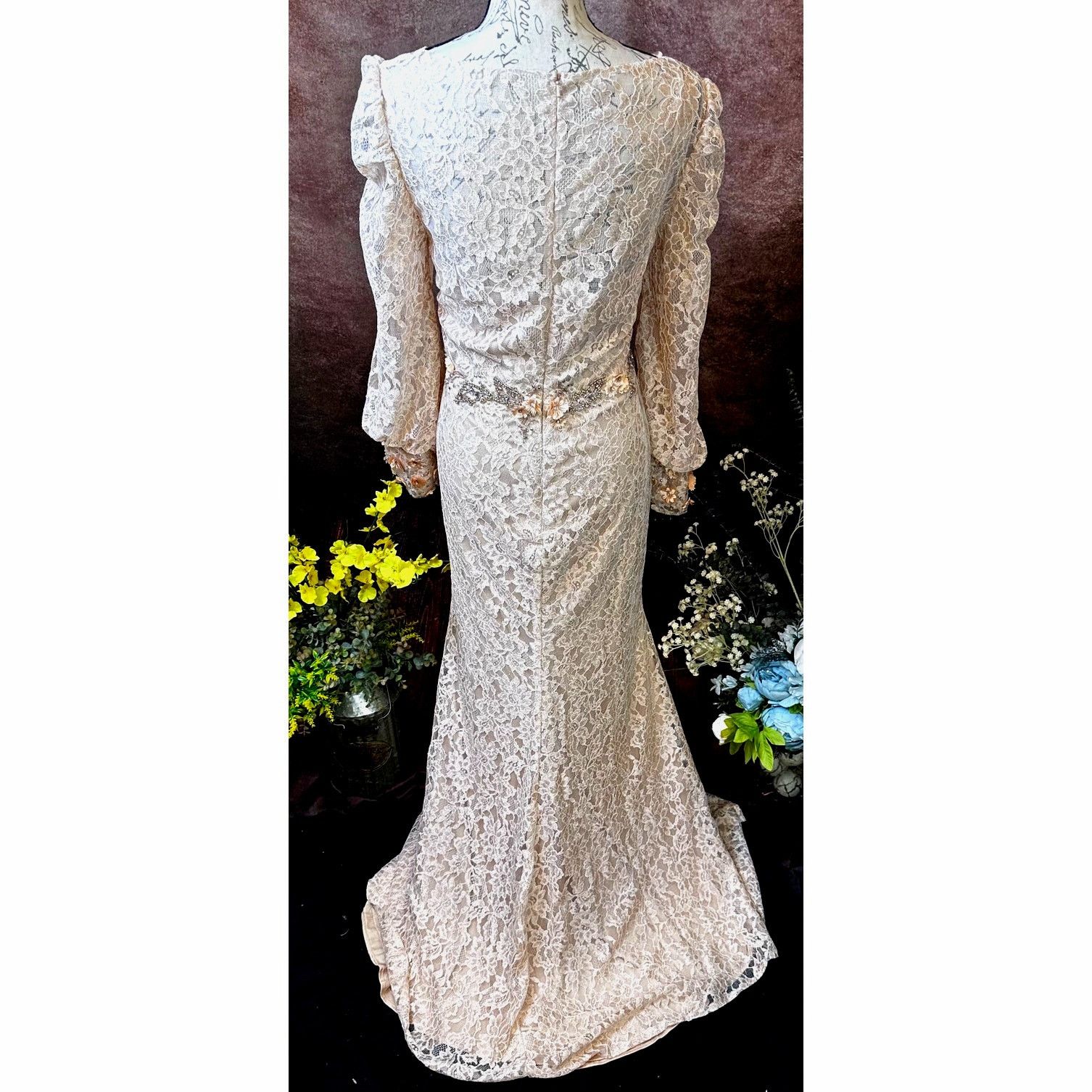 Other Mac Duggal Lace V Neck Embellished Gown Blush size 12 Size XL / US 12-14 / IT 48-50 - 14 Thumbnail